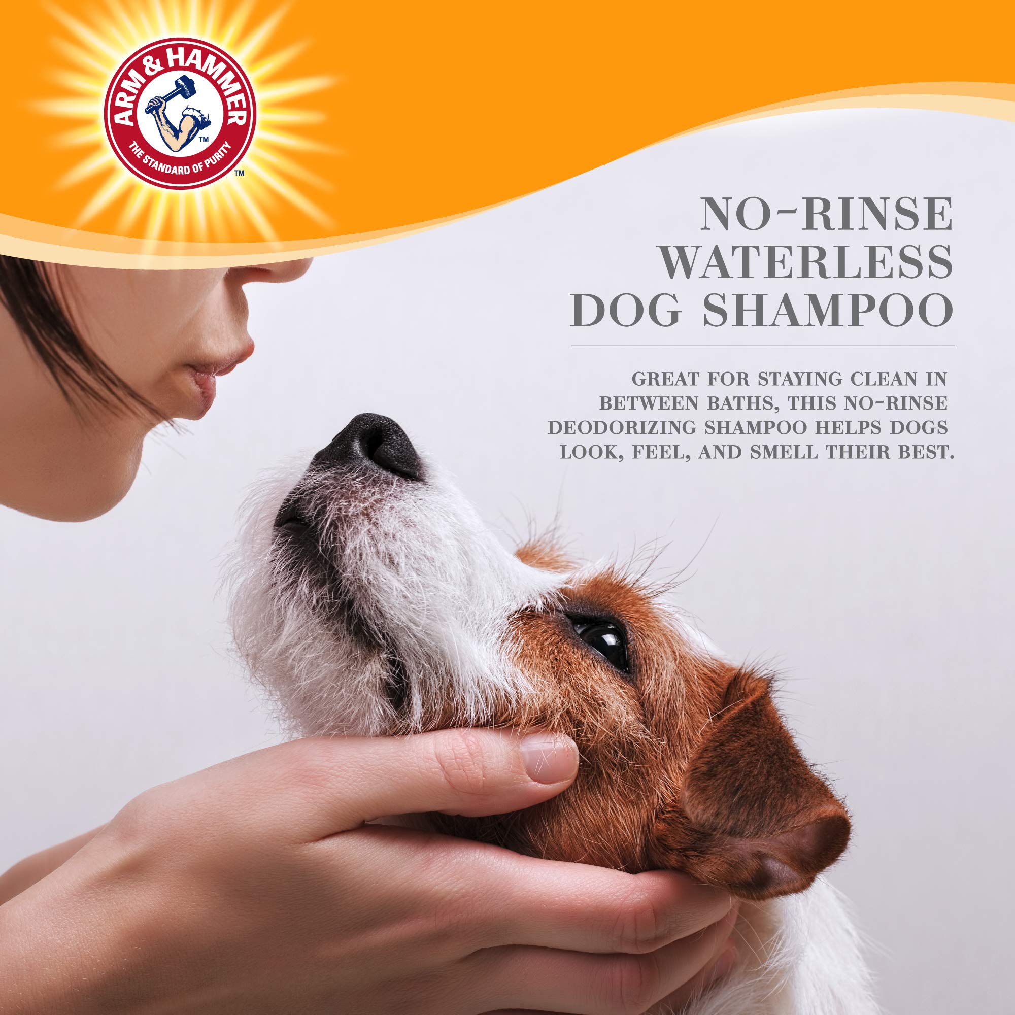 Arm & Hammer Ultra Fresh No Rinse Deodorizing Foam for Dogs, Juniper Mist, 8 Fl Oz - Waterless Dog Shampoo with Baking Soda