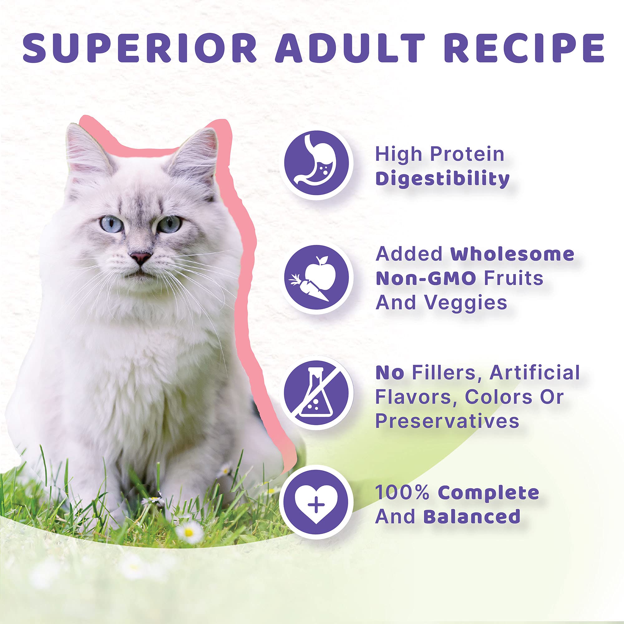 Halo Wet Cat Food Whole Salmon Stew Recipe, Grain Free Wet Cat Pate, Canned Cat Food for Extra Hydration, 5.5 Oz Can (Pack of 12