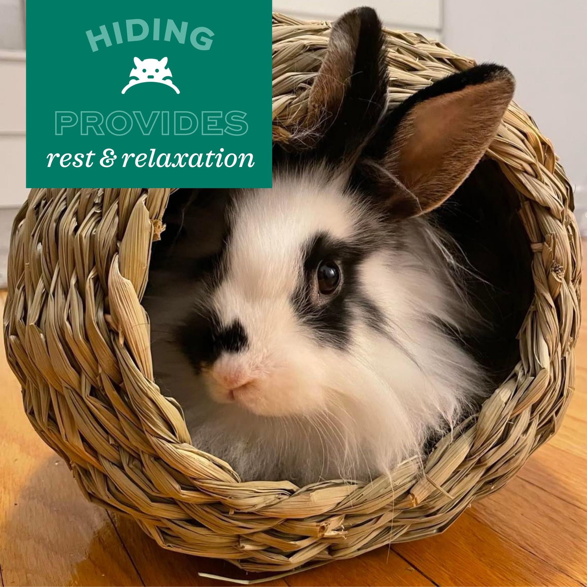 Oxbow Animal Health Timothy Hay Tunnel