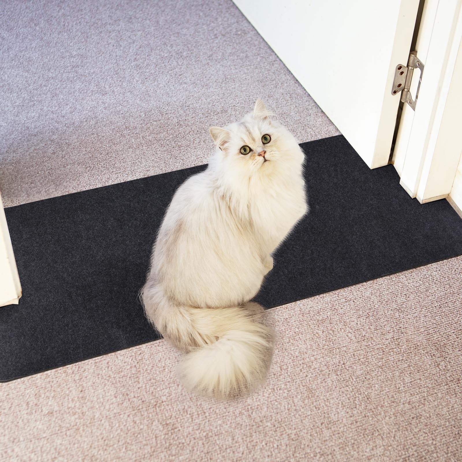 Carpet Protector for Pets Cat Carpet Protector for Doorway, Anti Scratch Under Door Cat Scratch Protector Mat, Felt Surface Easy
