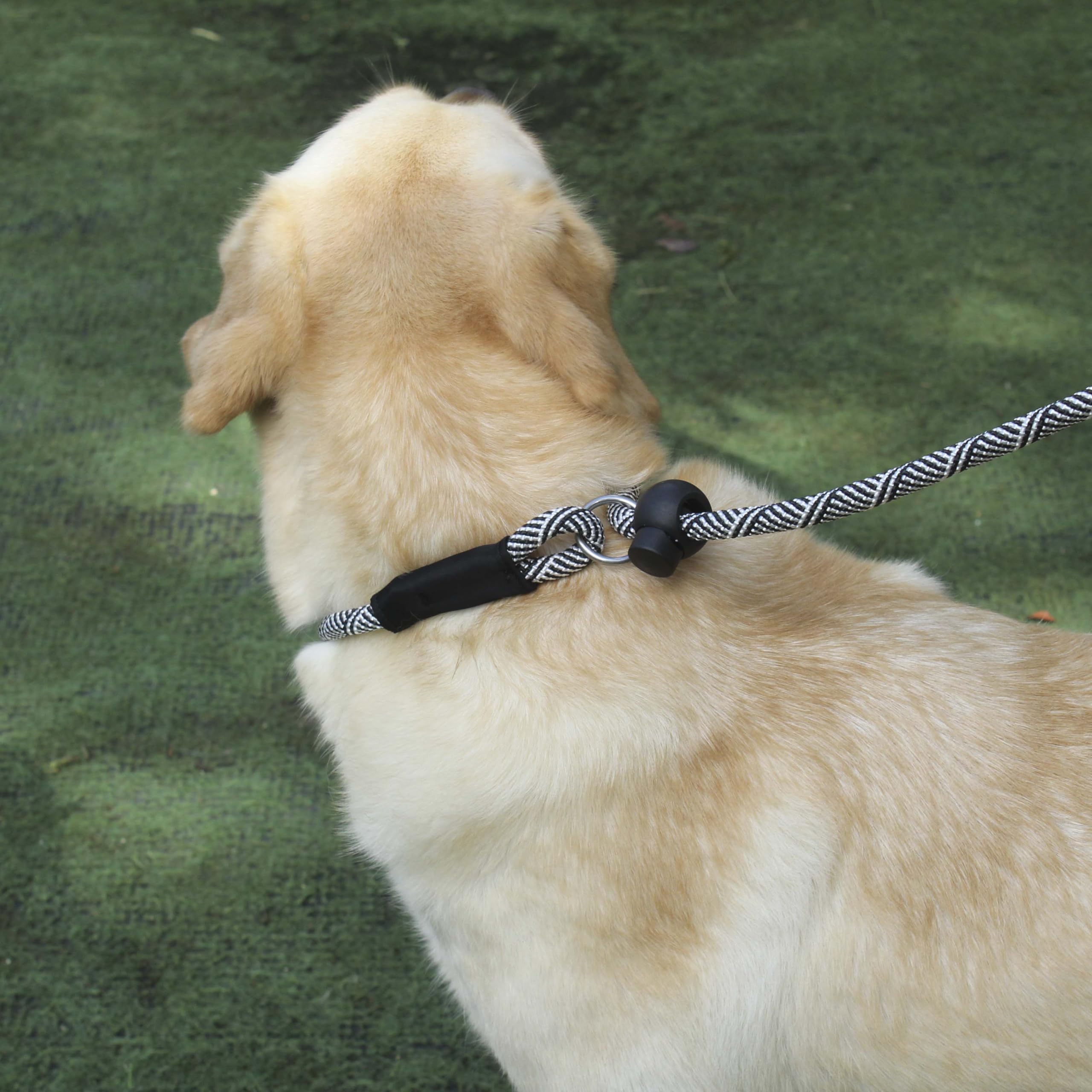 Hiado Slip Lead Dog Leash With Stopper Loop Rope Training No Pull For Small Medium Large Dogs 4Ft Black White