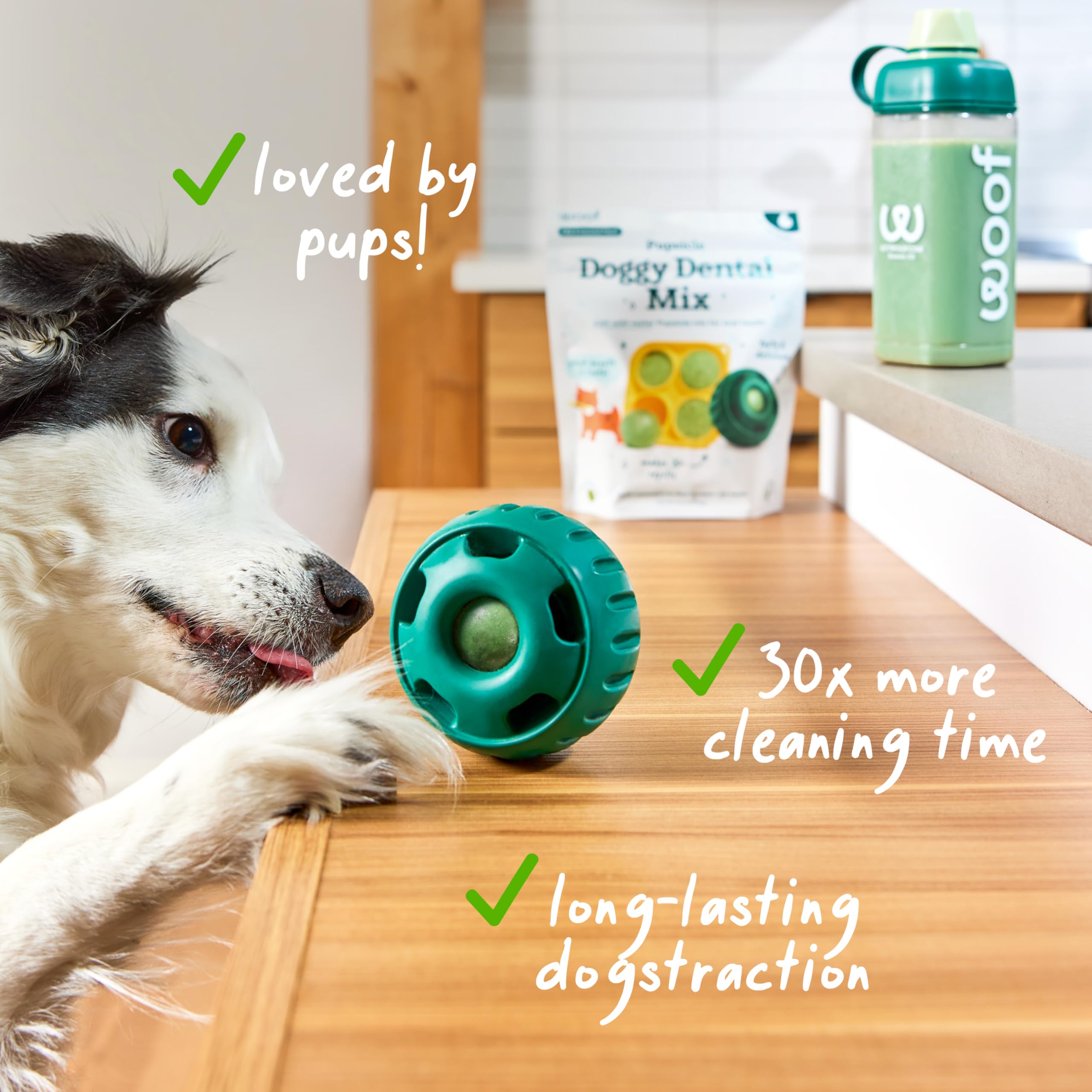 Woof Doggy Dental Pupsicle Mix - Dog Teeth Cleaning Powder for The Pupsicle - Long Lasting Postbiotic Dental Enzyme Mix to Suppo