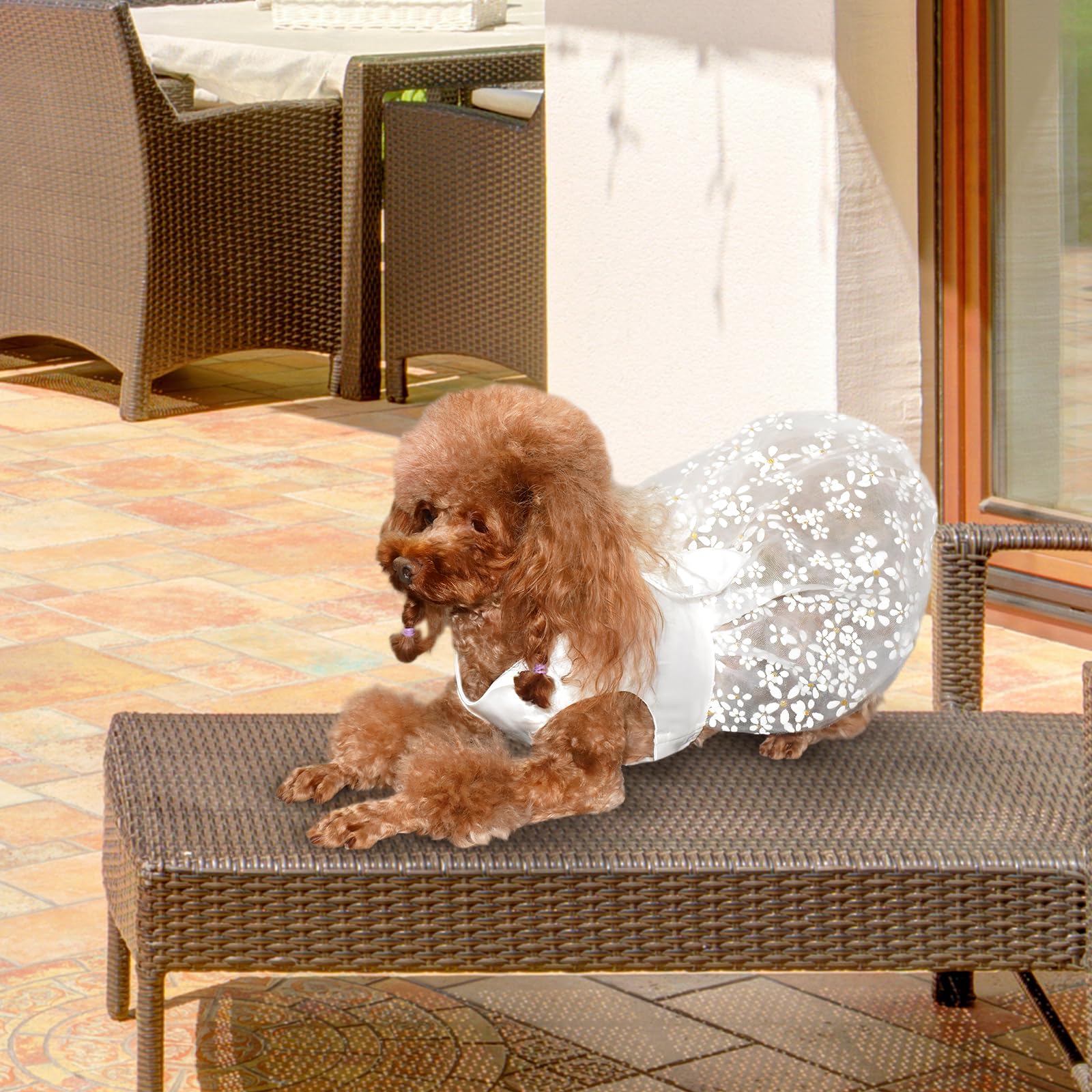 Topkins Dog Dresses, Dog Dresses For Small Dog, Summer Puppy Clothes With Pearl Necklace, Dog Party Skirt With Bow Tie, Pet Slik
