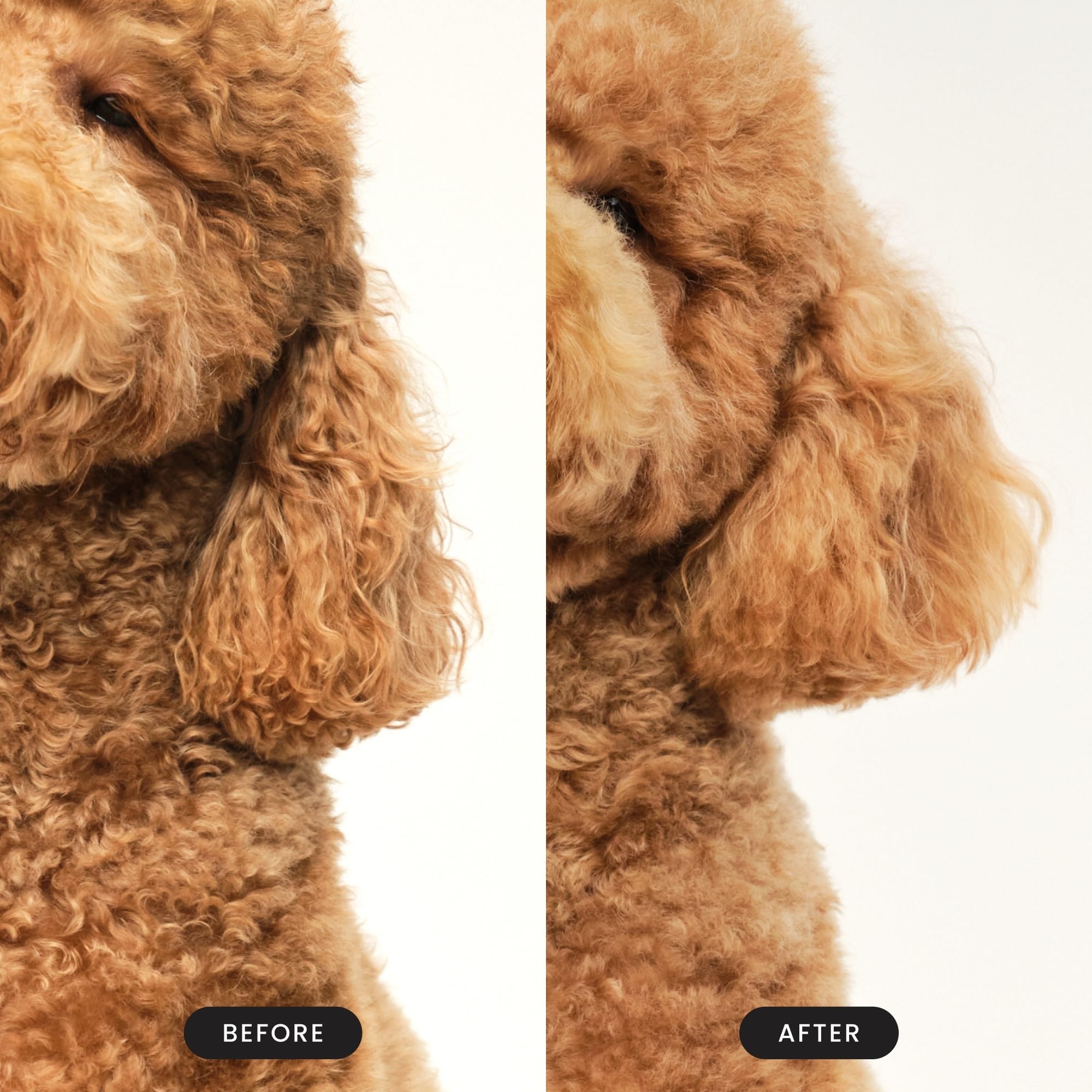 Pet Teezer By Tangle Teezer Detangling Dog Grooming Brush, Dog Bath Brush For Wet Or Dry Fur, Pink & Yellow