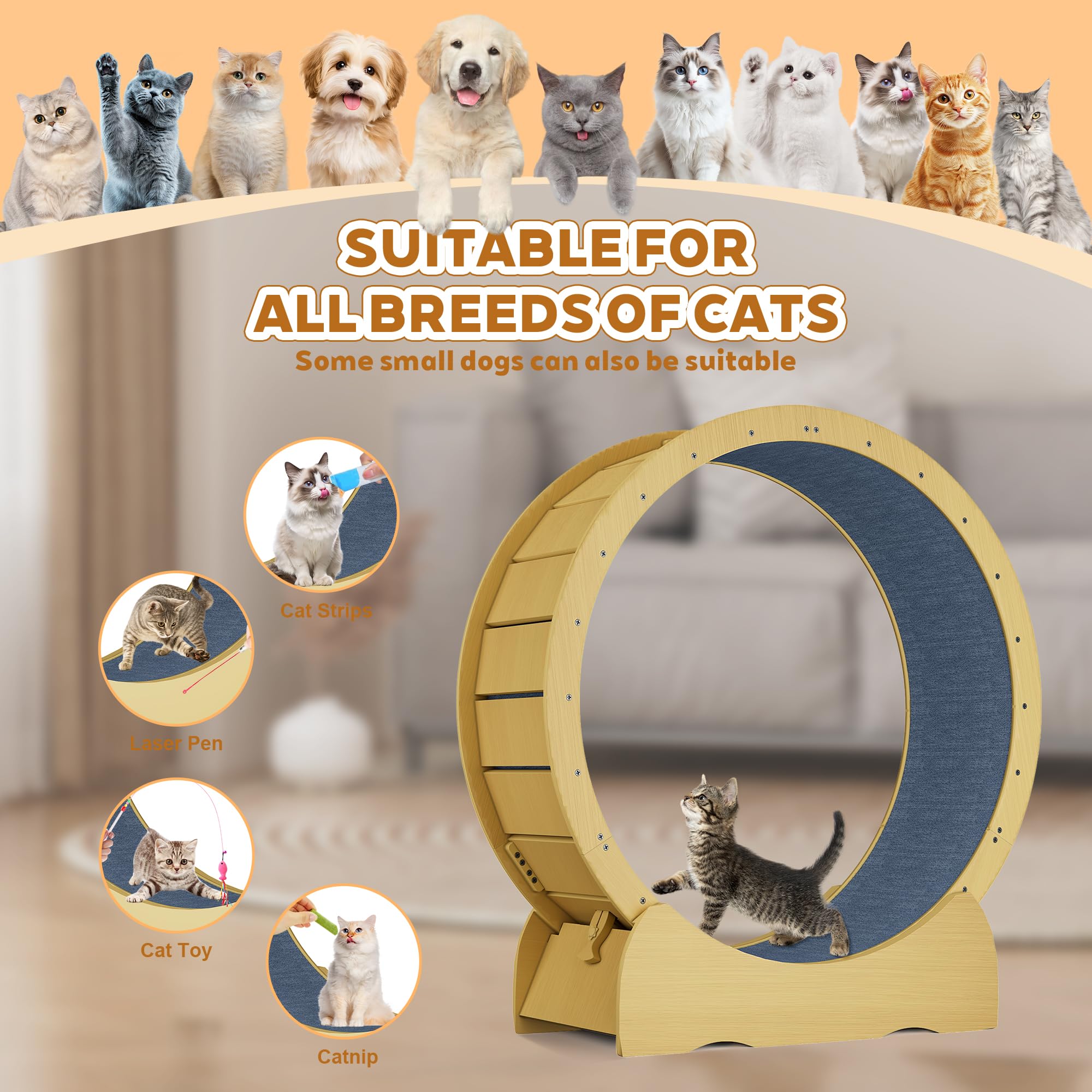 HMHKHN 45 Cat Exercise Wheel for Indoor Cats, Cat Running Treadmill Wheel with Detachable Carpet & Toy for Running/Walking/Tra