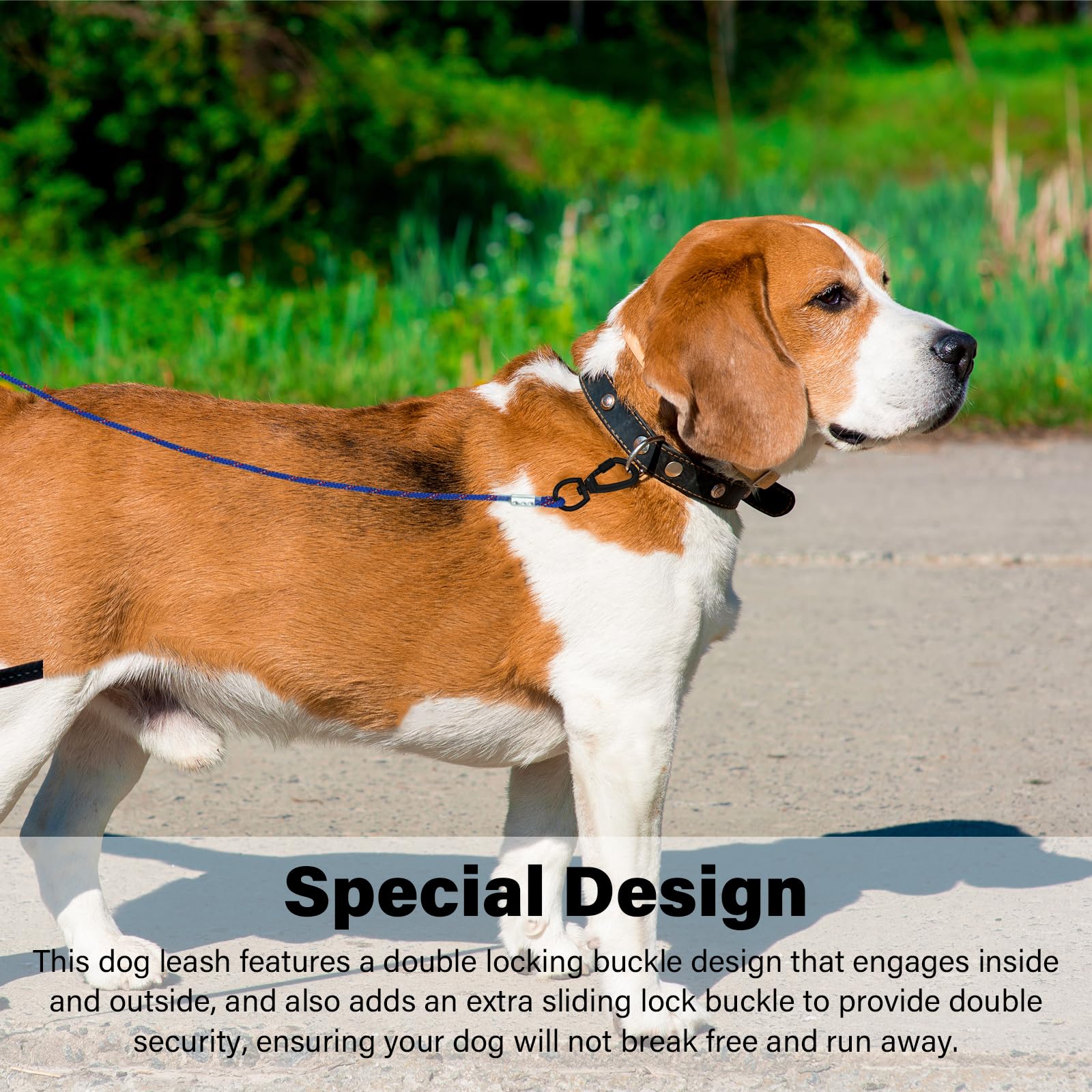 Zhoma 4/5/6 Ft Chew Proof Dog Leashes With Comfortable Handle, Steel Cable Lead For Control Large Or Medium Dogs Walk And Train,