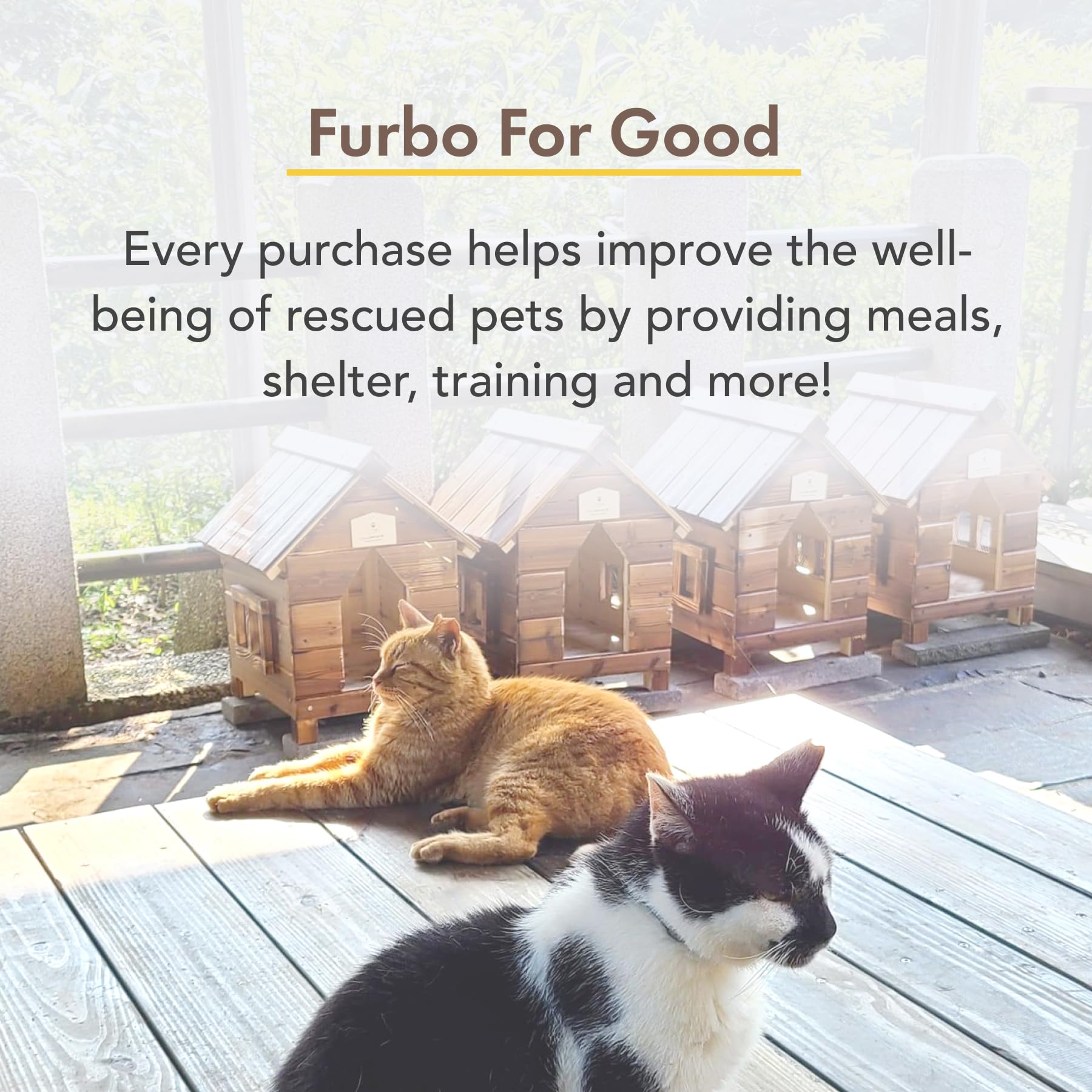 Furbo 360° Cat Camera + Nanny Bundle: Home Security & Cat Safety Alerts, Rotating Pet Treat Dispenser Camera With Speaker, Smart Home Indoor Cam W Phone App (Additional Subscription Required At Setup)