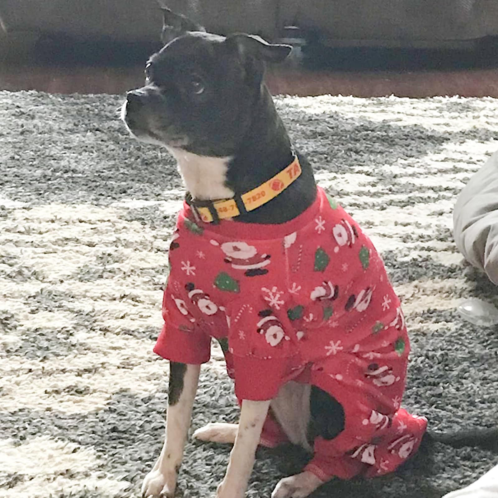 Kyeese New Year Dog Pajamas Santa Claus Dogs Pjs For Small Medium Dogs Holiday Dog Onesie Soft Velvet