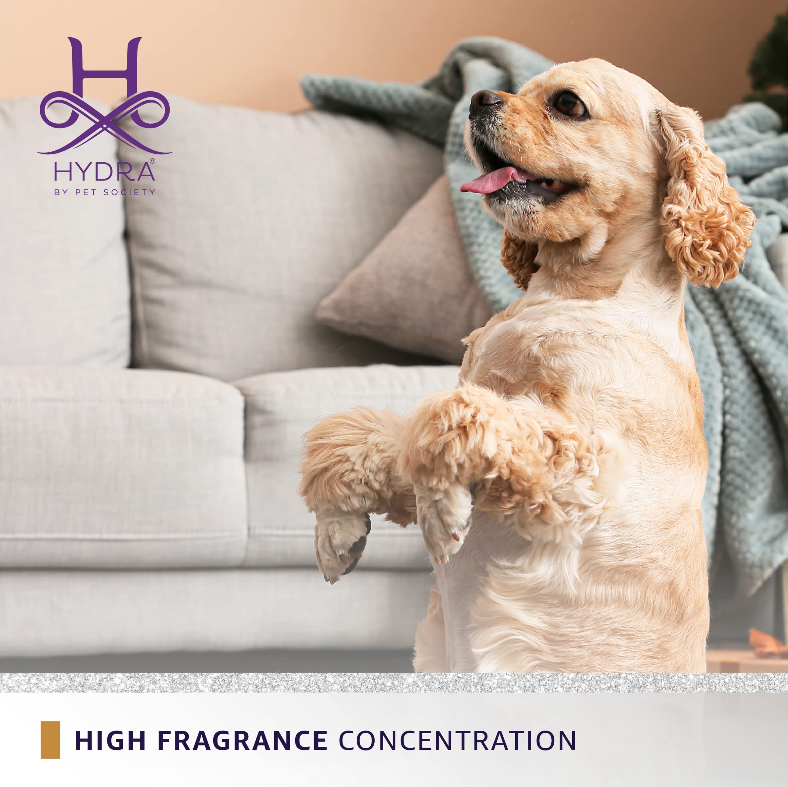 Hydra Forever Vip Pet Cologne, Finishing Cologne For Dogs And Cats, Grooming Spray, 4.4 Ounces