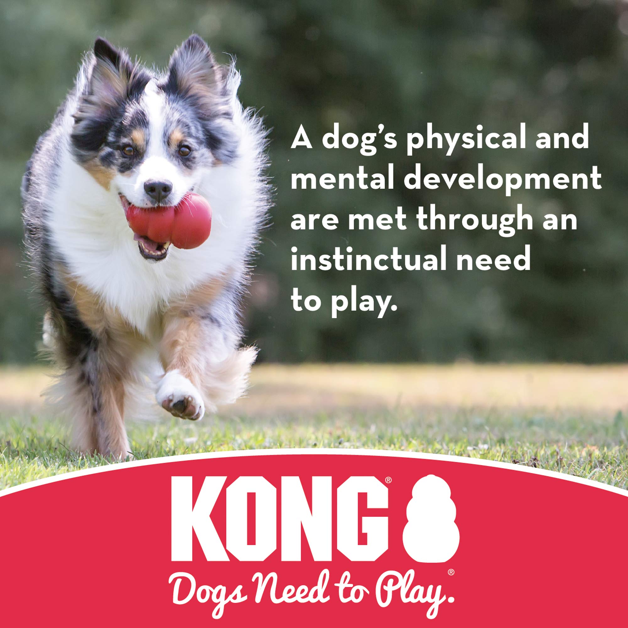 Kong, Ball Red, Medium/Large