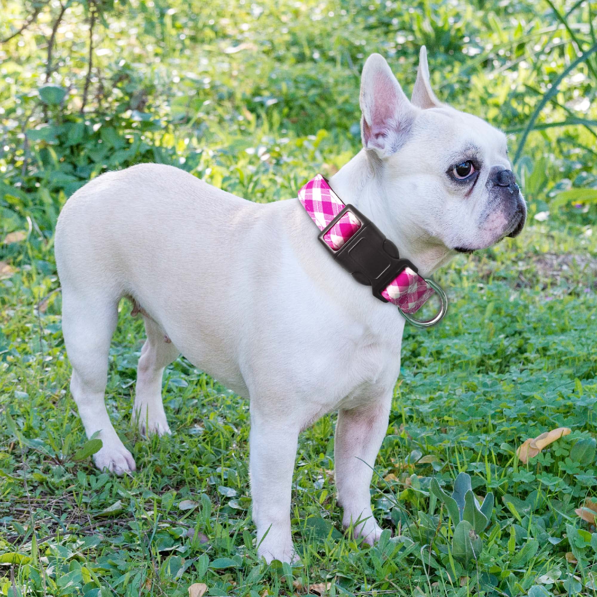 Ladoogo Reflective Dog Collar Padded With Soft Neoprene Breathable Adjustable Nylon Dog Collars For Small Medium Large Dogs (Medium (Pack Of 1), Pink Plaid Collar+Leash)