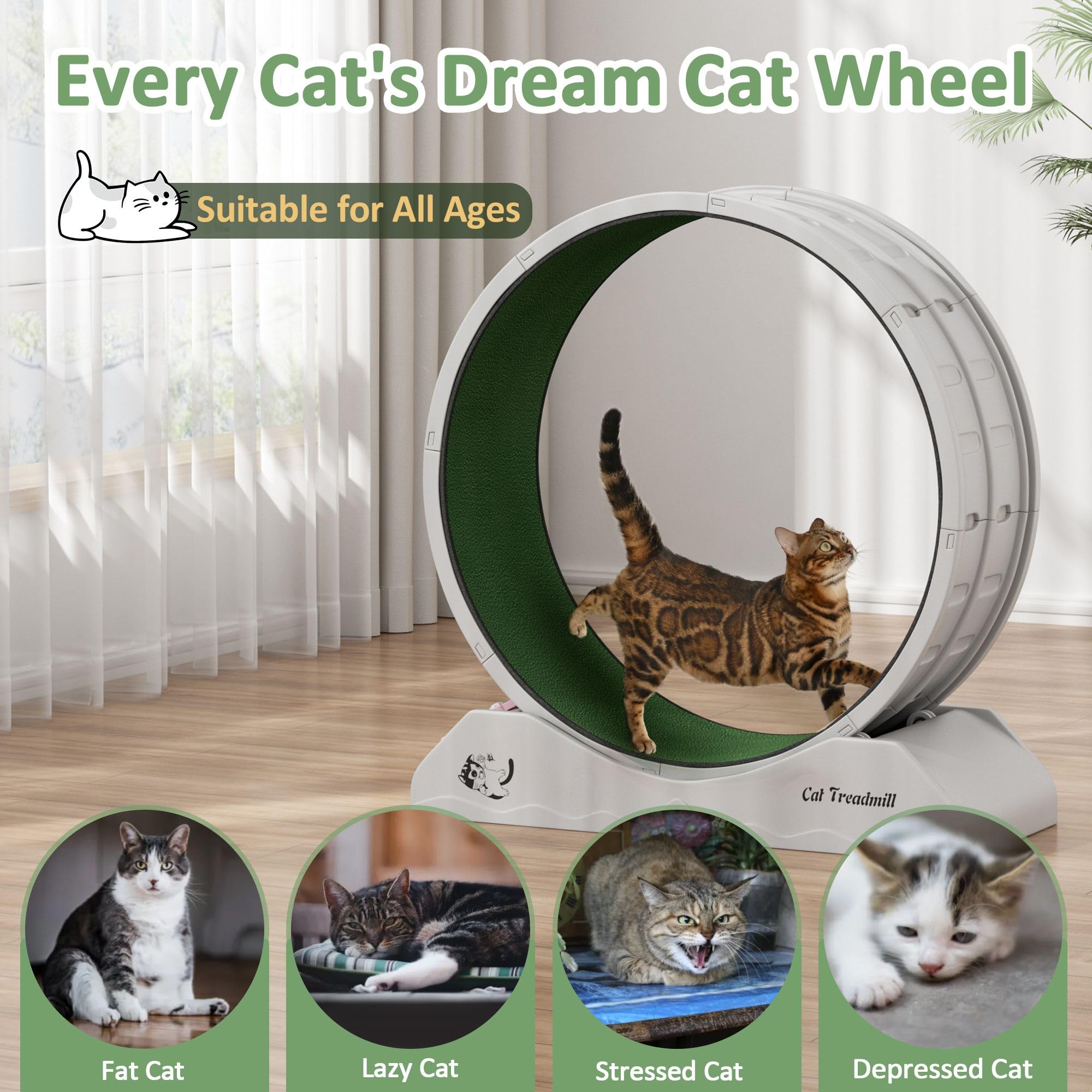 DAUSOLA Cat Exercise Wheel, 31.5 Inch Cat Treadmill for Indoor Cats, Cats Running Wheel with Updated Enhanced Base and Carpeted