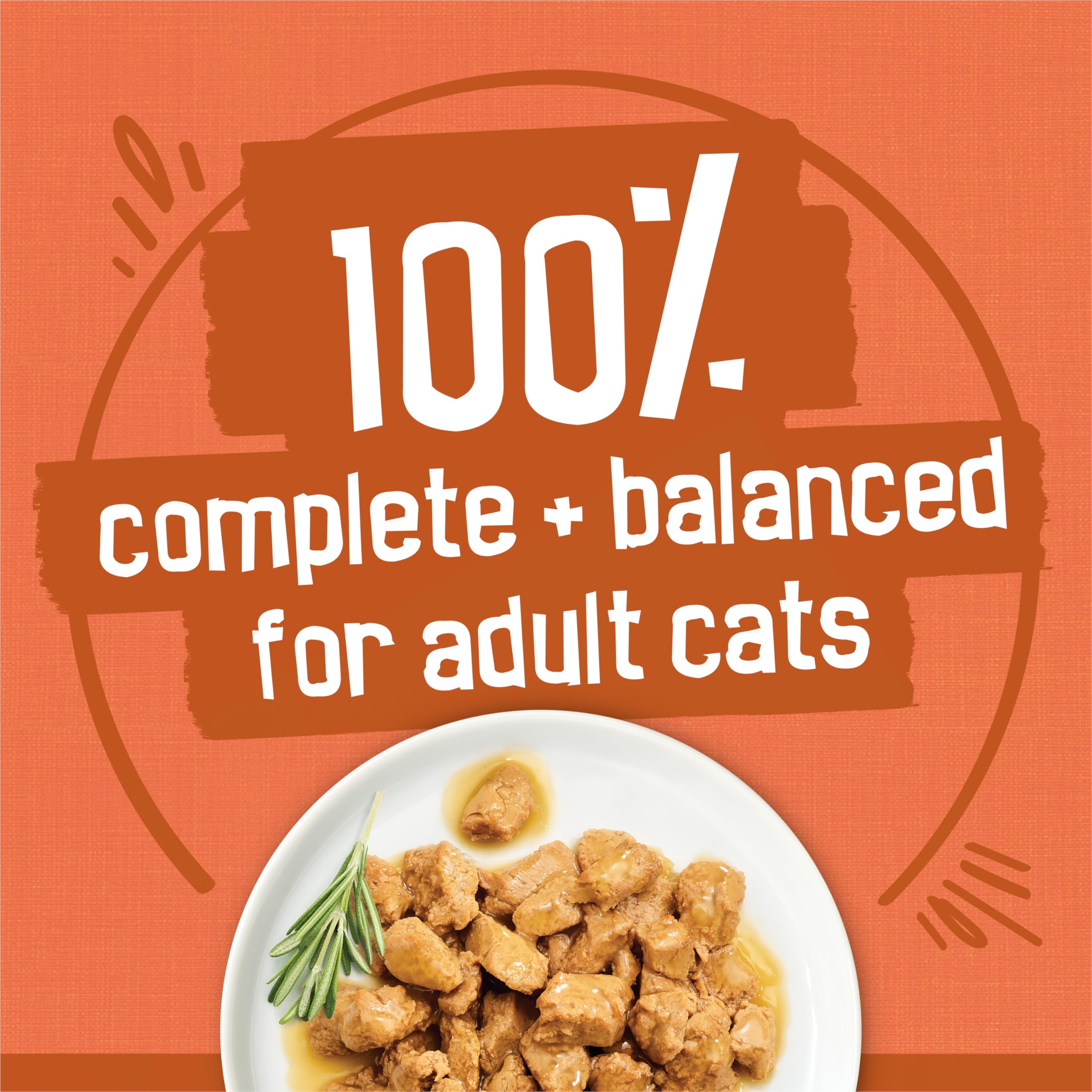 Purina Friskies Wet Cat Food Gravy Variety Pack, TurChicken Extra Gravy Chunky, Meaty Bits and Prime Filets - (Pack of 40) 5.5 o