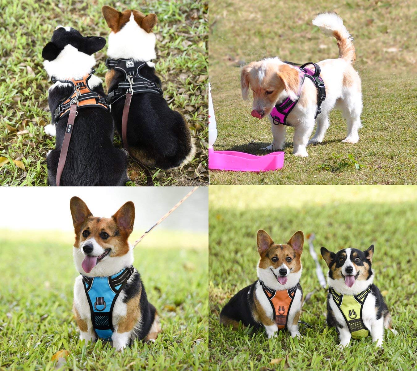 PoyPet No Pull Dog Harness, Adjustable Soft Padded Vest, Medium, Black, Reflective, Model 007073-FBA