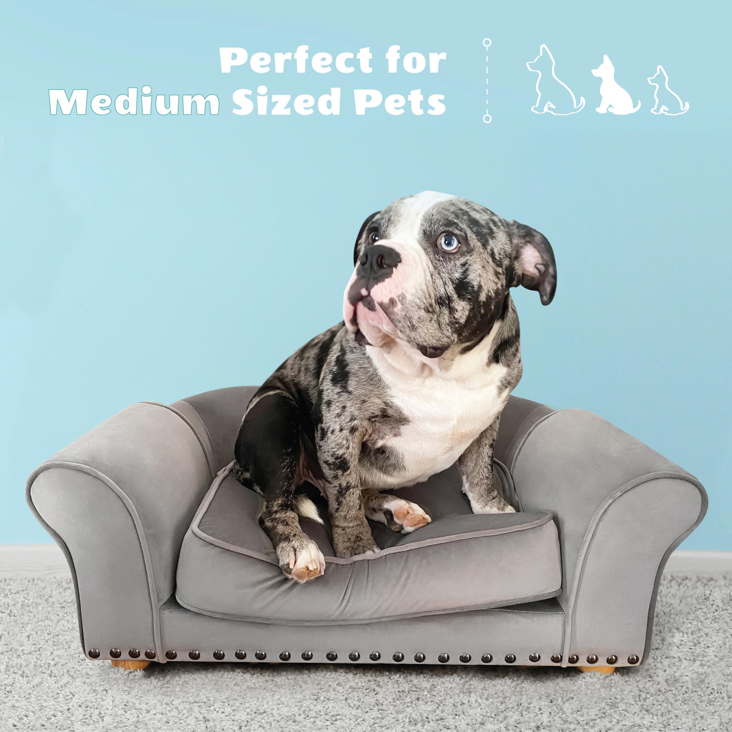 Critter Sitters 34-in. Faux Velvet Pet Bed Sofa in Dark Gray for Medium-Sized Dogs and Cats, Durable Indoor Pet Furniture for Be