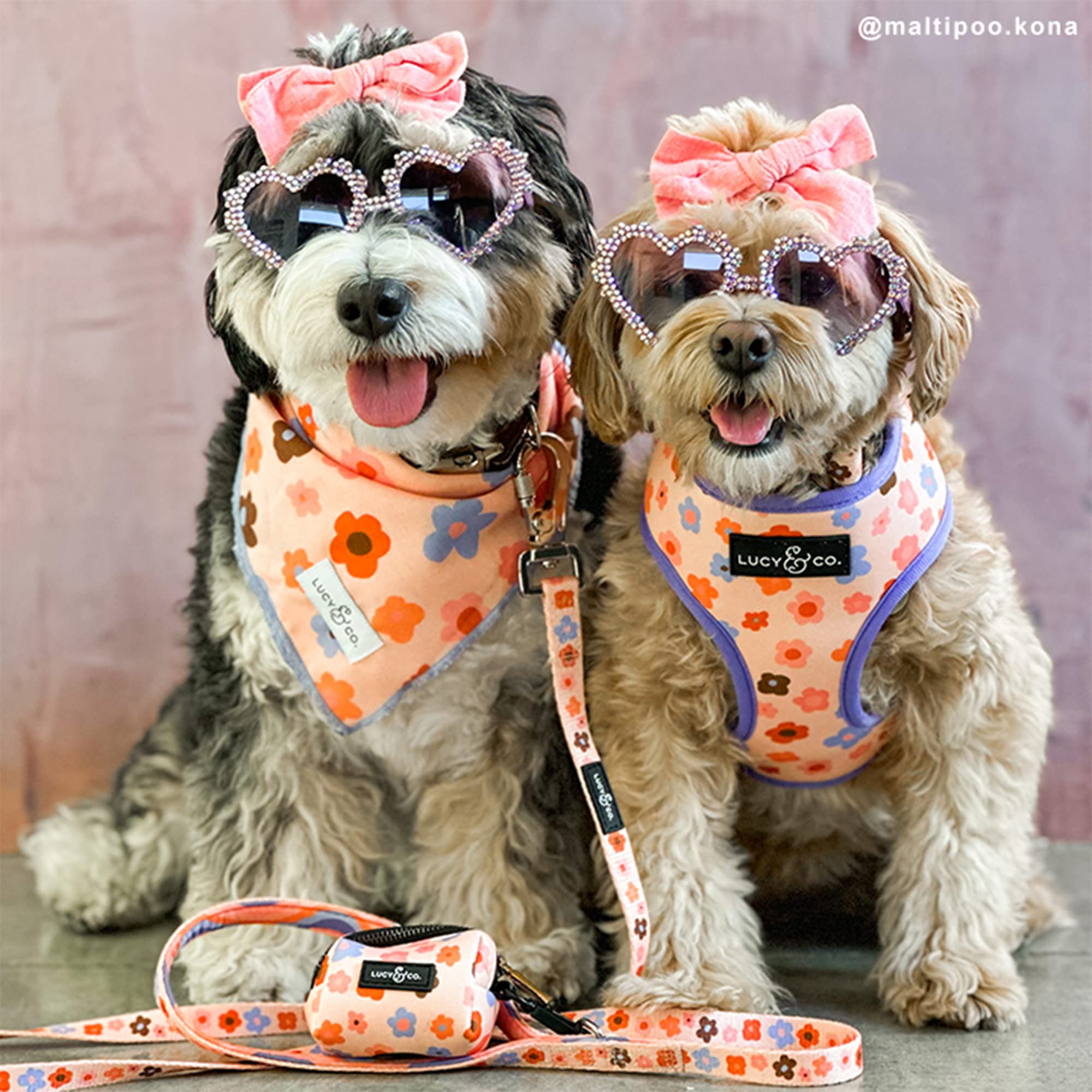 Lucy & Co. Let'S Groove Bandana - Durable Comfortable Dog Bandana - Machine Washable - Designer Puppy Accessory - Small Purple C