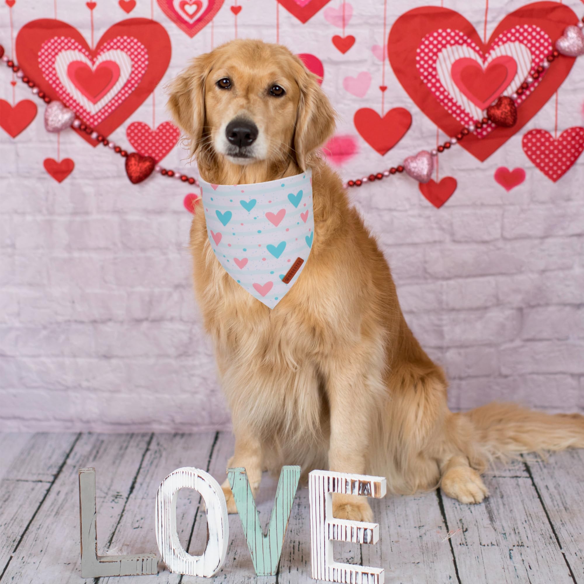 Adoggygo Valentine Dog Bandanas 2 Pack, Triangle Reversible Pink White Heart Dog Scarf, Premium Durable Fabric, Pet Valentine Ba