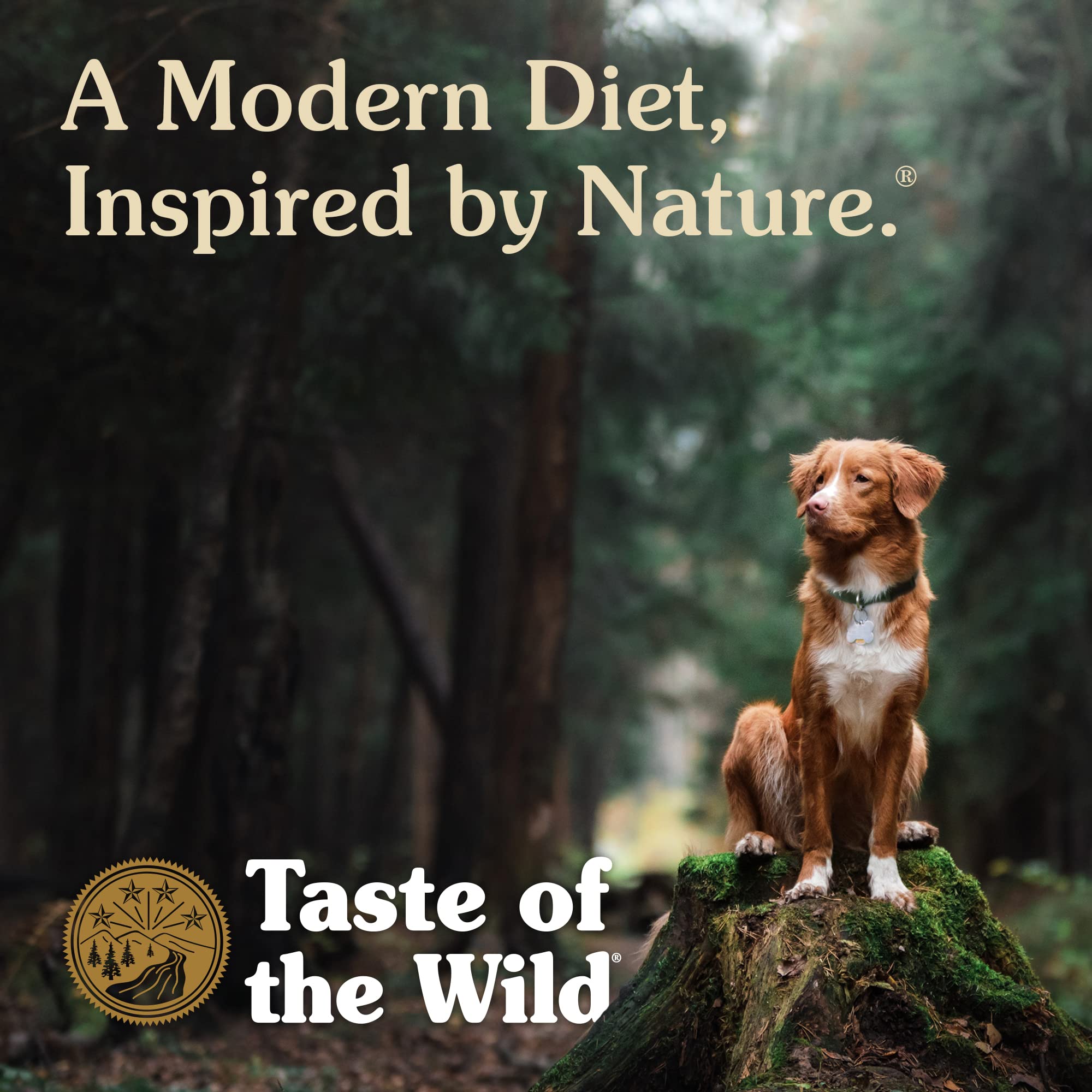 Taste of the Wild Grain Free High Protein Real Meat Recipe High Prairie Puppy Premium Dry Dog Food, 5lb