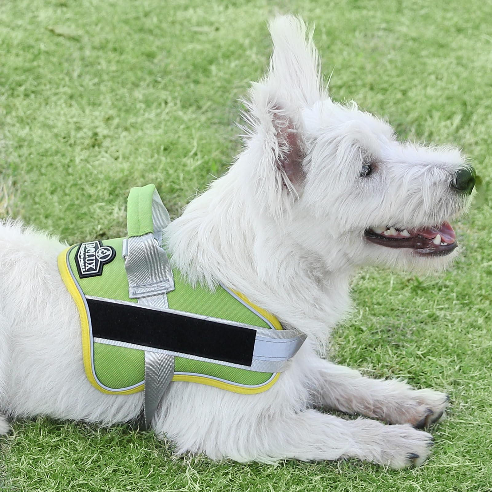 Bolux Dog Harness, No-Pull Reflective Dog Vest, Breathable Adjustable Pet Harness With Handle For Outdoor Walking - No More Pulling, Tugging Or Choking (X-Small (Pack Of 1), Greenyellow)