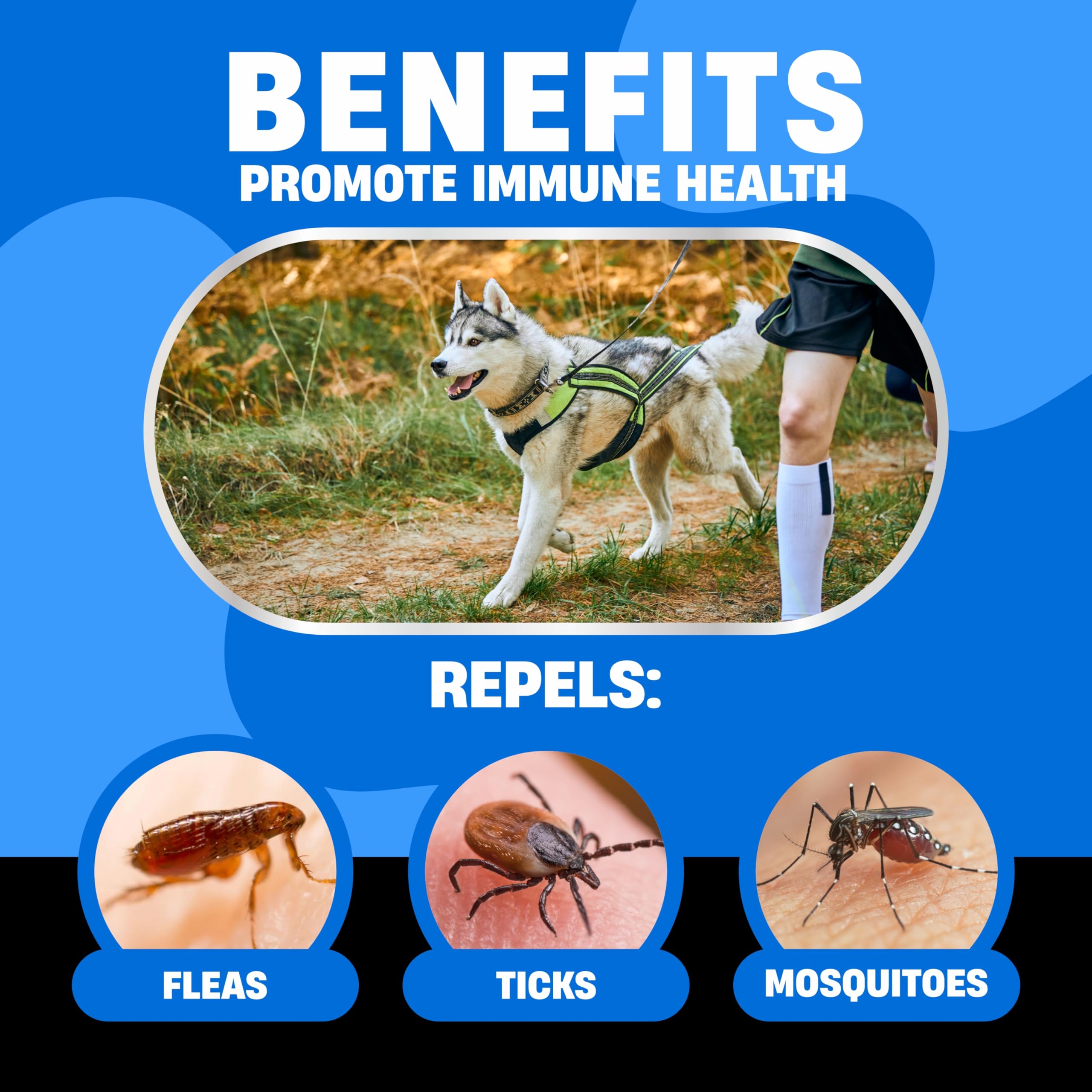 Dog Flea And Tick Treatment Chewable (Chicken Flavor) - Us Made Natural Flea And Tick Prevention For Dogs Chewable Tablets - Fle