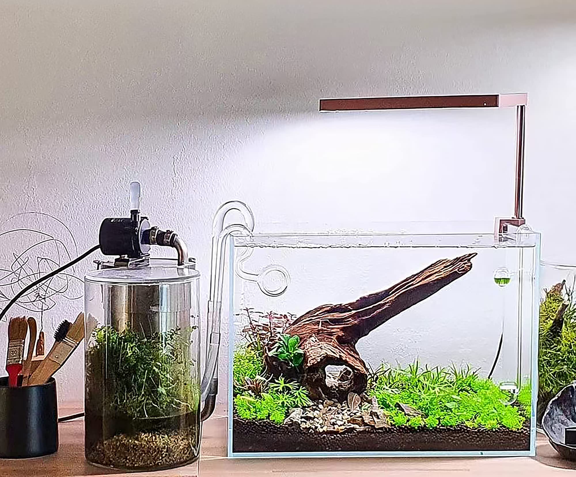 Allcolor Ultra Clear Rimless Aquarium Tank 2-22 Gallons Low Iron Glass (10Gai - Top Glass Canopy)