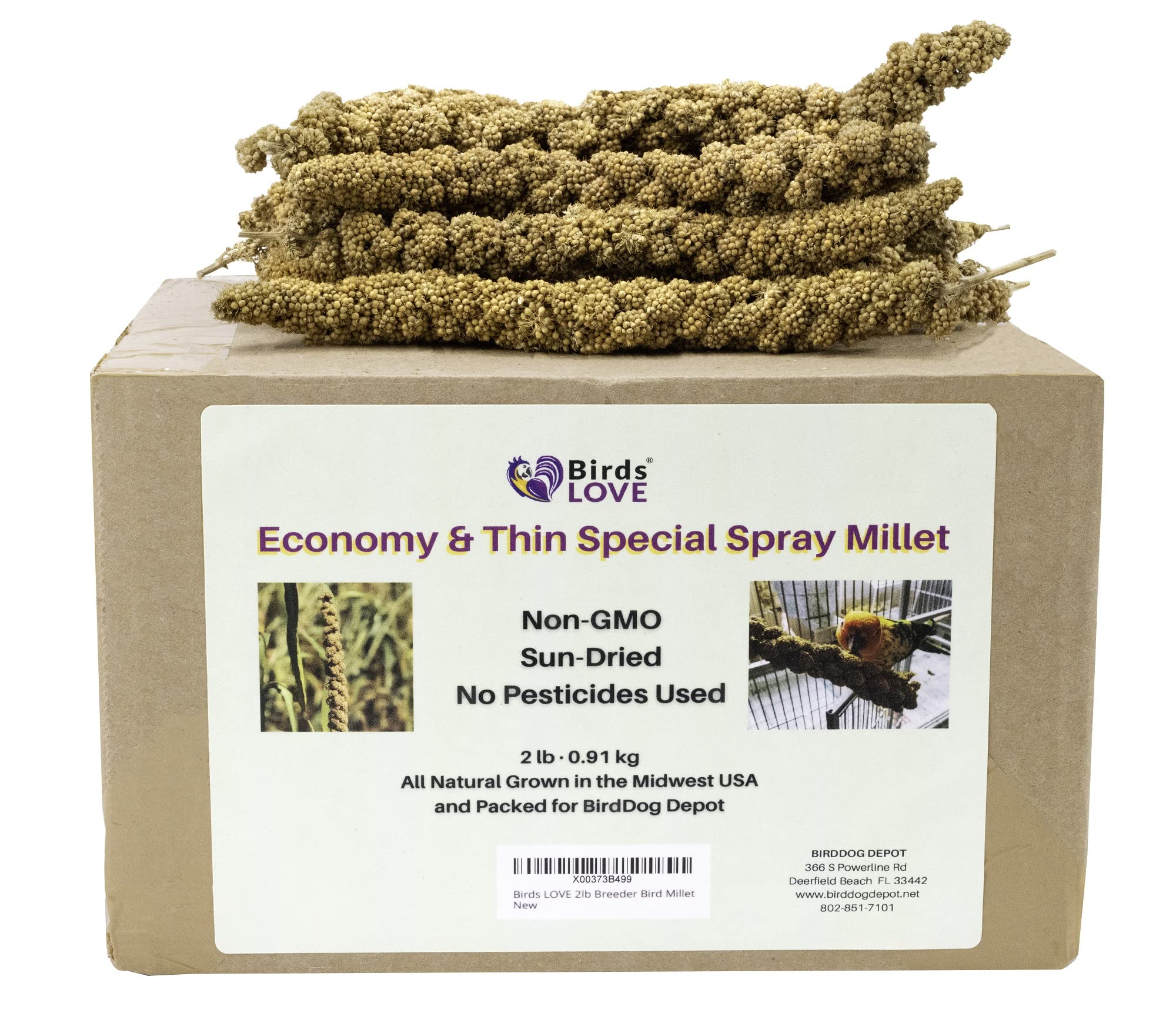 Birds LOVE Spray Millet Treat for Birds - GMO-Free, No Pesticides, 2lbs, Edible Tops Only, Ideal for Cockatiels, Lovebirds, Parrots