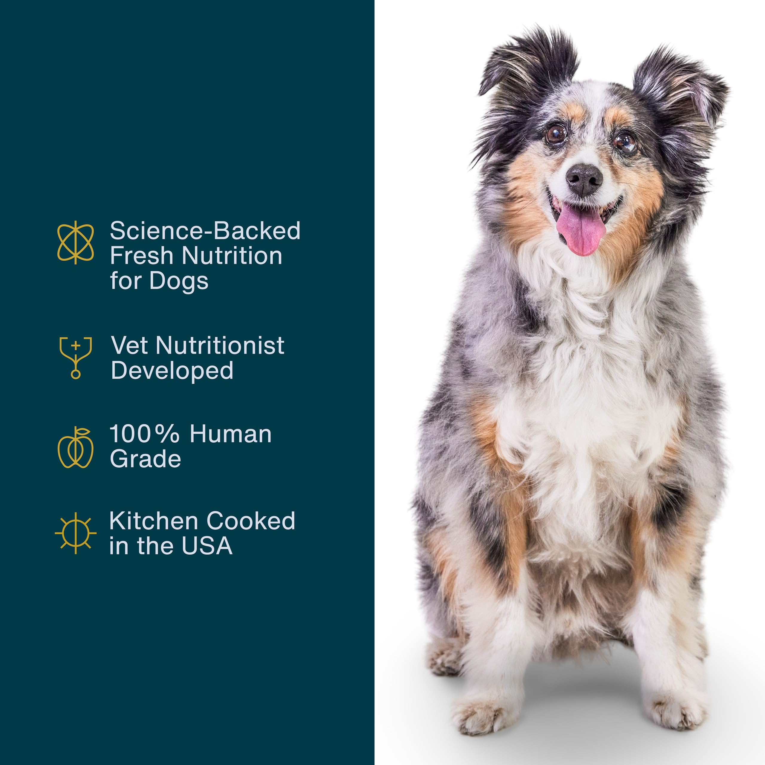 JustFoodForDogs Puppy Frozen Fresh Dog Food Variety Pack, Complete Meal or Dog Food Topper, Fish & Chicken Human Grade Dog Food