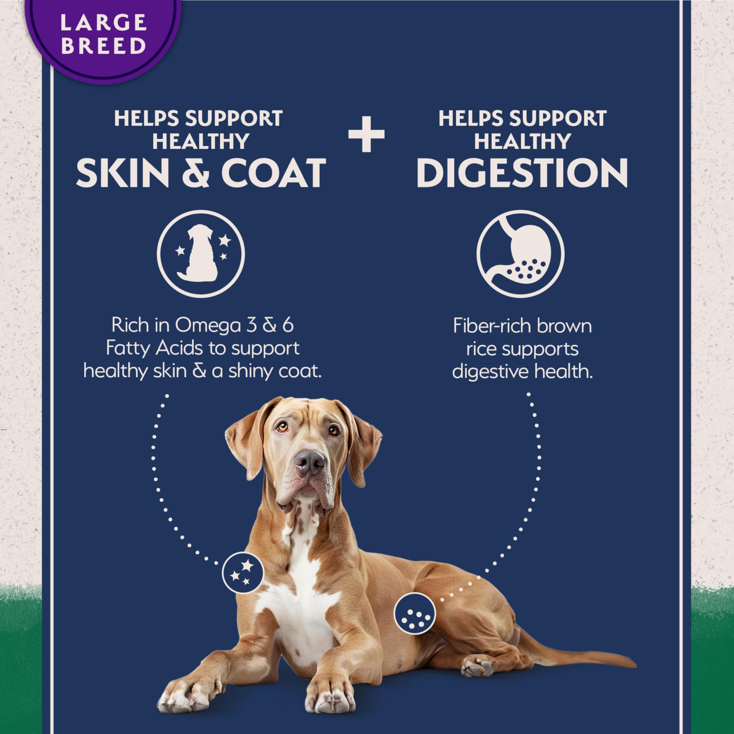 Natural Balance Limited Ingredient Large Breed Adult Dry Dog Food with Healthy Grains, Lamb & Brown Rice Recipe, 12 Pound (Pack