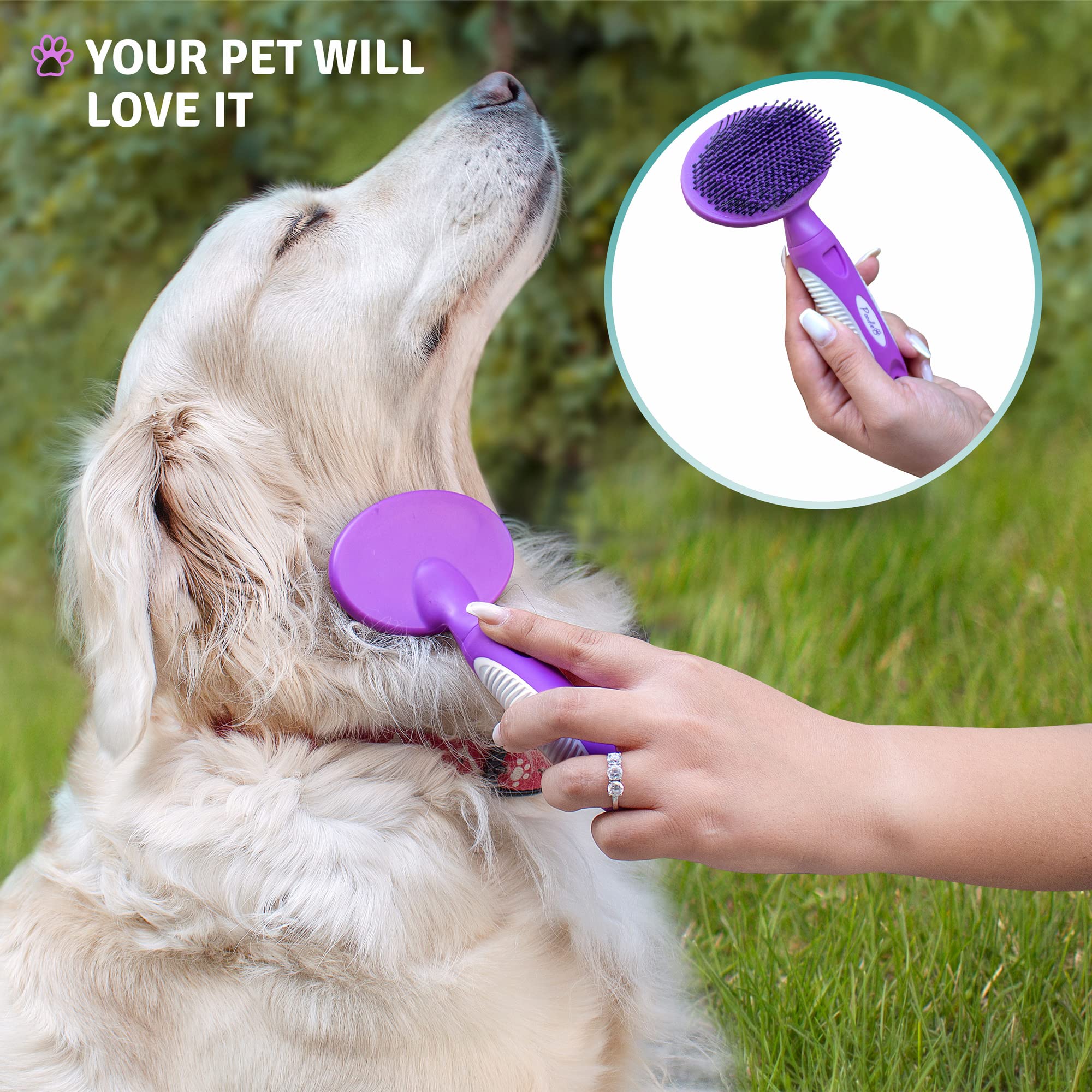 Round Bristle Pet Brush For Dogs And Cats - Soft Dog Brush For Grooming Short Or Long Hair - Gentle Tool For Sensitive Skin Remo