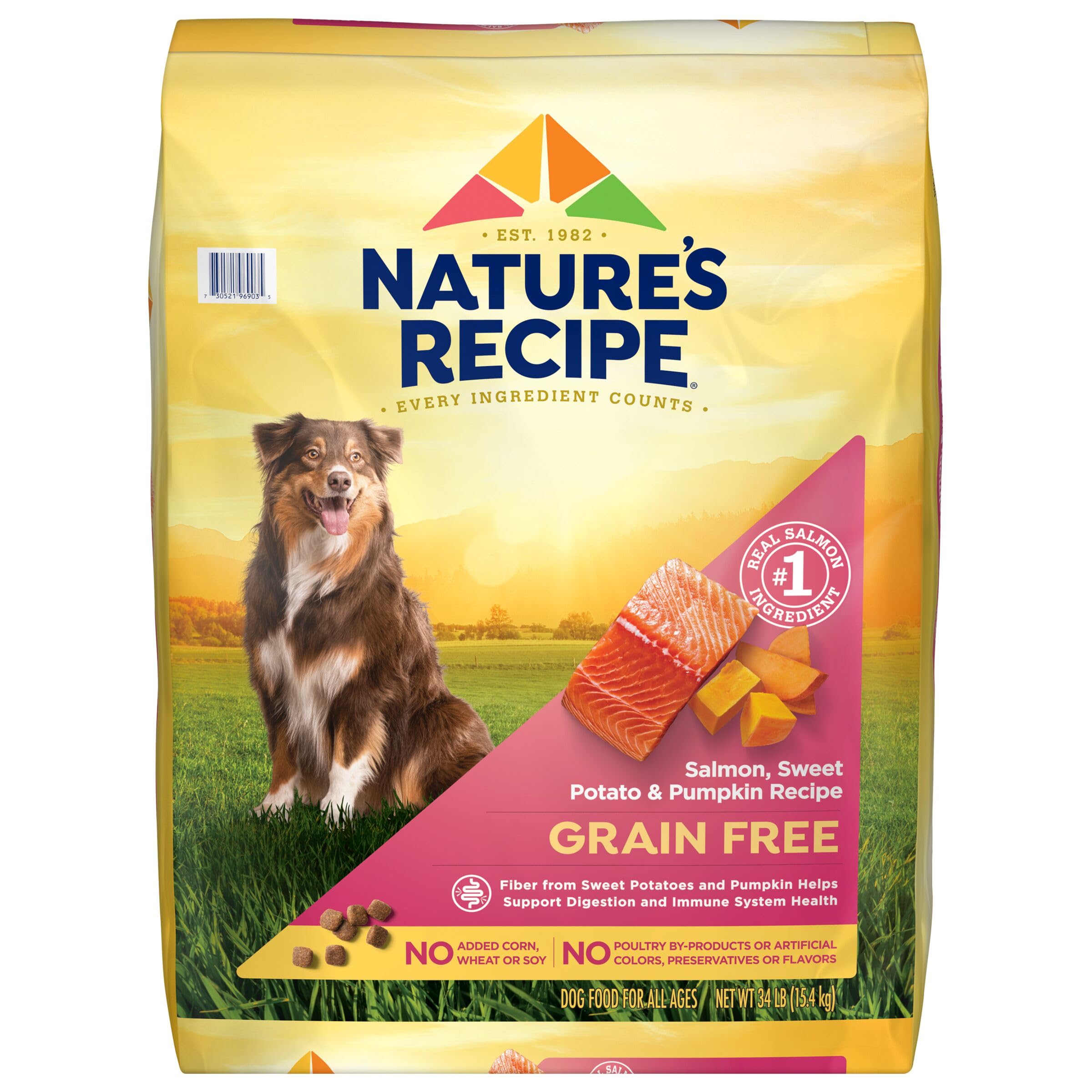 Nature s Recipe Grain Free Salmon, Sweet Potato & Pumpkin Recipe Dry Dog Food, 34 lb. Bag