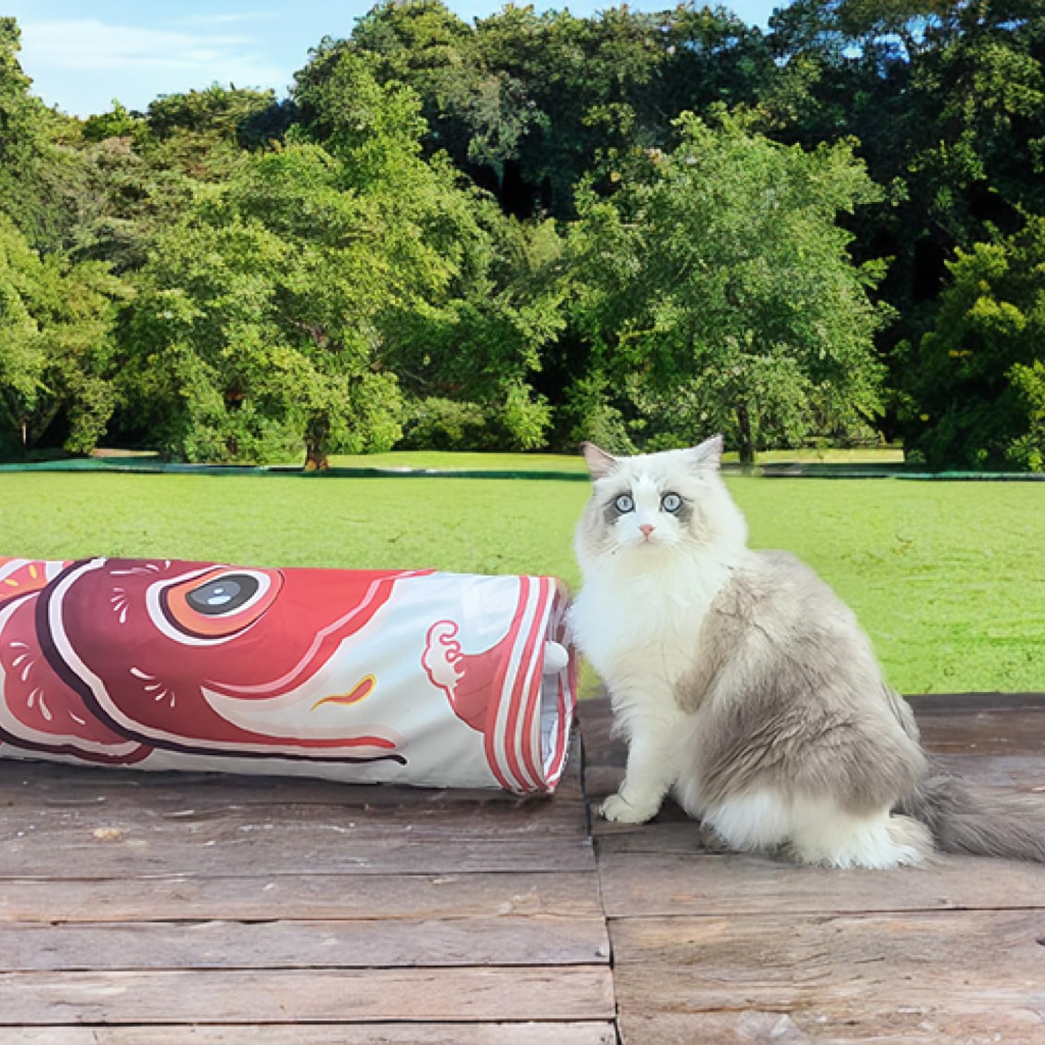 Dsumky Cat Tunnel With Fish Design, Plush Toy Ball, Easy To Clean, Collapsible, Hide & Seek Play, Self-Entertainment Toy (Radian