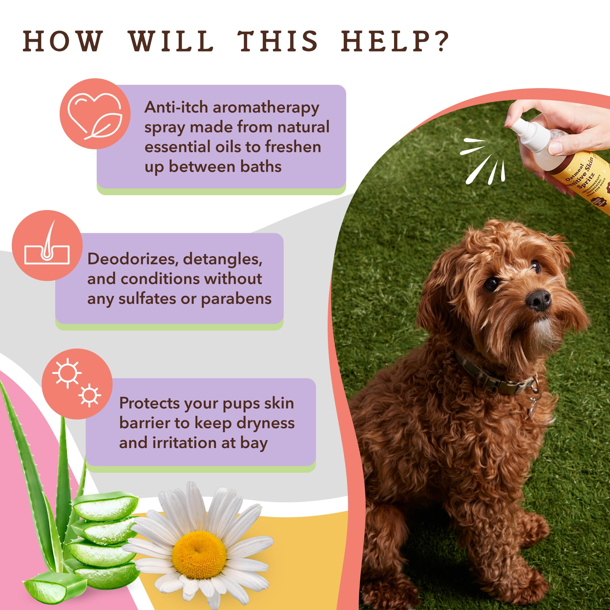 Natural Dog Company Sensitive Skin Dog Deodorizing Spray: Ideal With Sensitive Skin Dog Shampoo, Long Lasting Dog Perfume, Dog Spray Deodorizer, Neutral Scented Dog Spray With Hints Of Lavender, 8 Oz