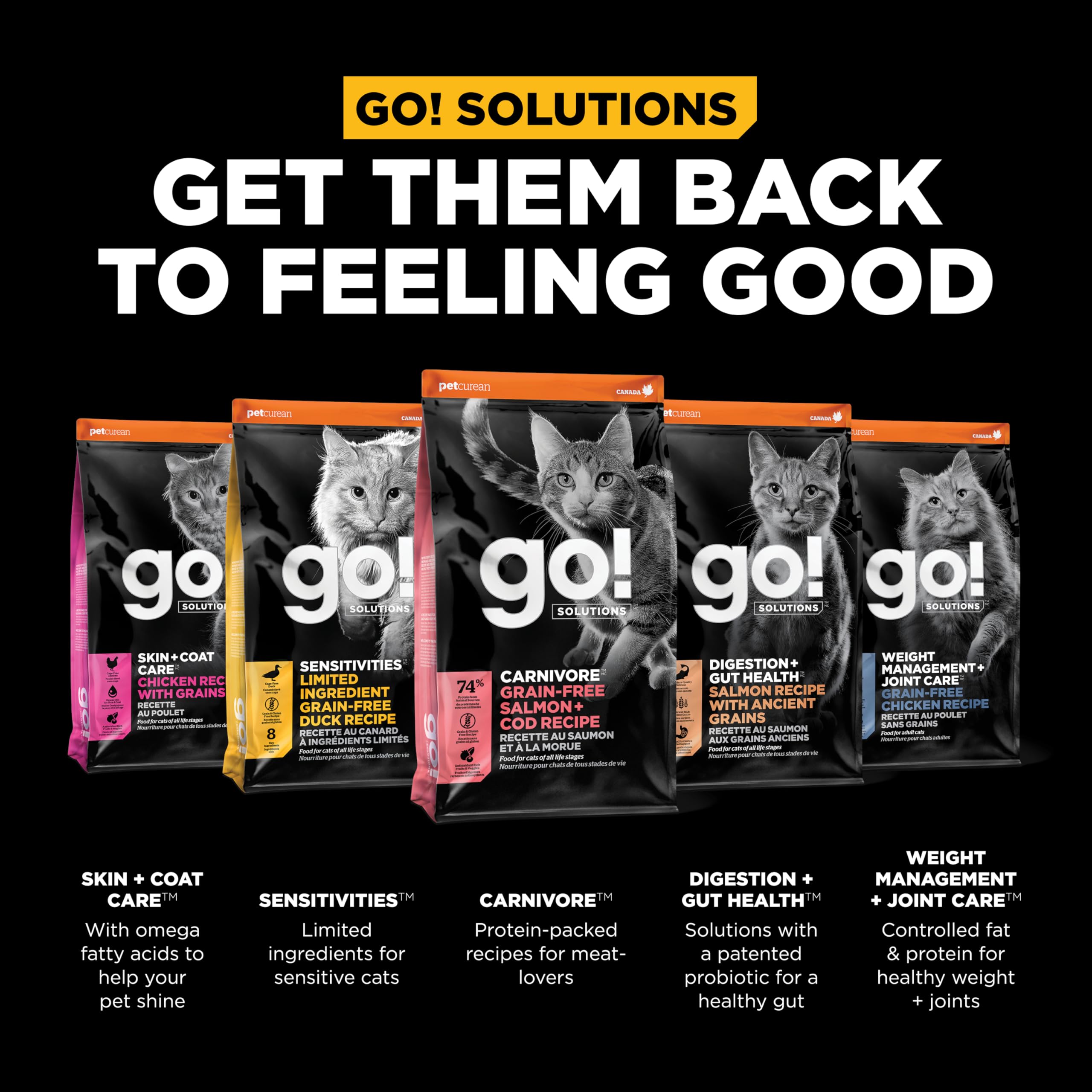 Go! Solutions Carnivore Salmon & Cod Grain-Free Dry Cat Food, 3 lb, High-Protein Kibble for Kittens, Adults & Seniors