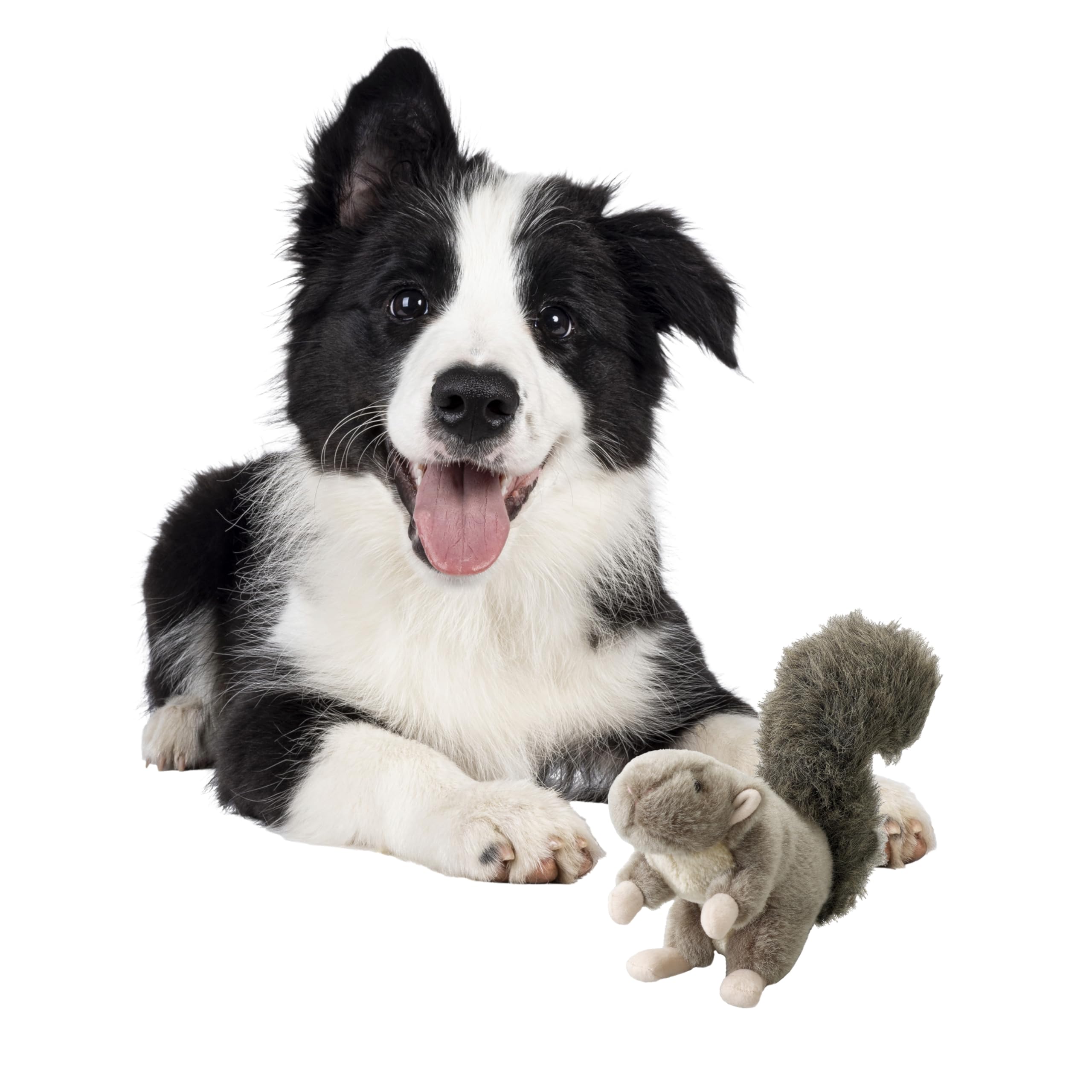 Spot By Ethical Products Woodland Collection Squirrel Dog Toy With Squeaker | Plush Tug Of War Squirrel Grunting Squeak Toy For