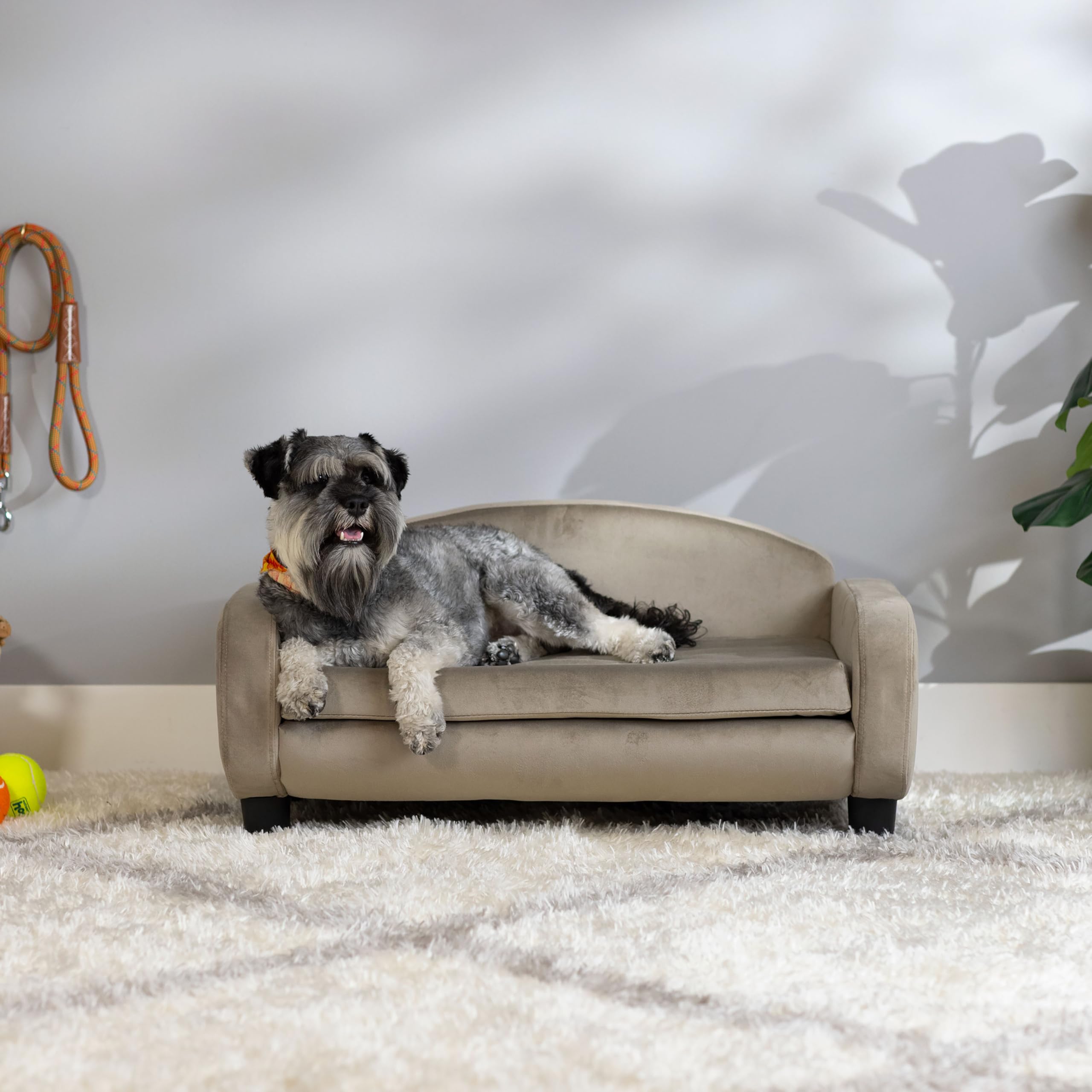 Paws & Purrs Modern Pet Sofa 31.5 Wide Low Back Lounging Bed with Removable Mattress Cover in Espresso/Ash