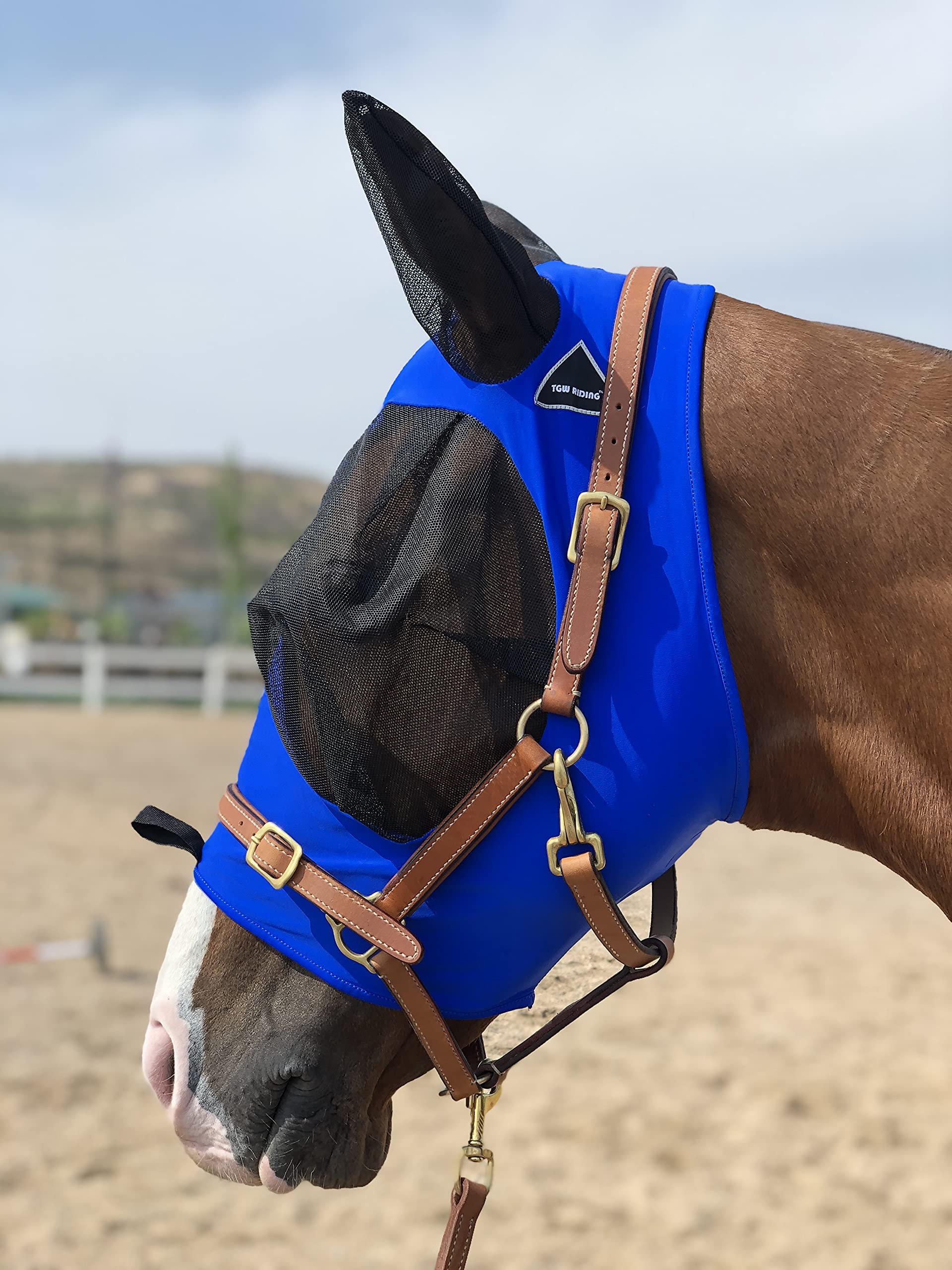 Horse Fly Mask Super Comfort Horse Fly Mask Elasticity Fly Mask with Ears We Only Make Products That Horses Like (Royal Blue, M)