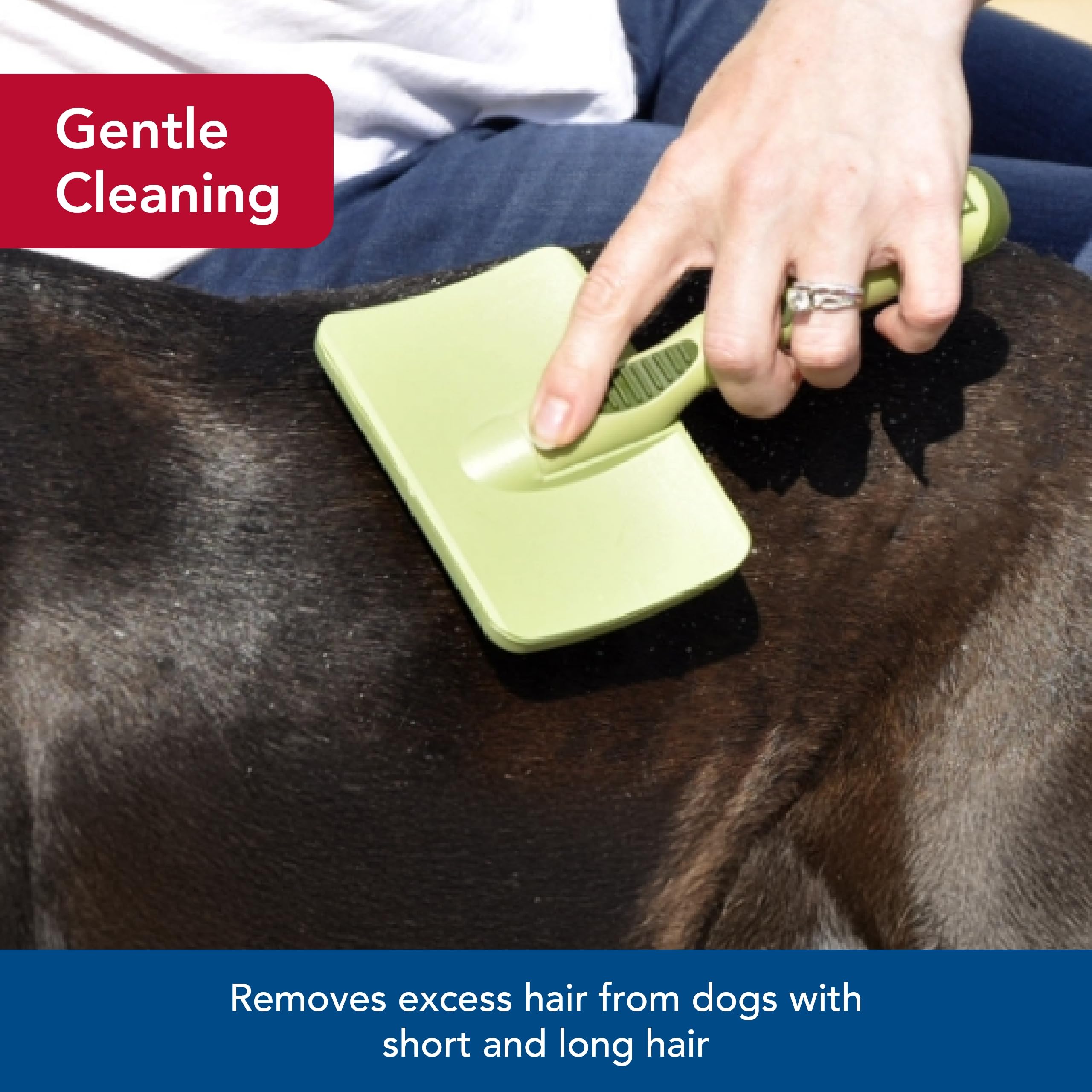Coastal Pet Safari Dog Soft Slicker Brush - Dog Grooming Brush For Shedding - For Dogs With Short, Medium And Long Hair - Medium - 6.25' X 3.5'