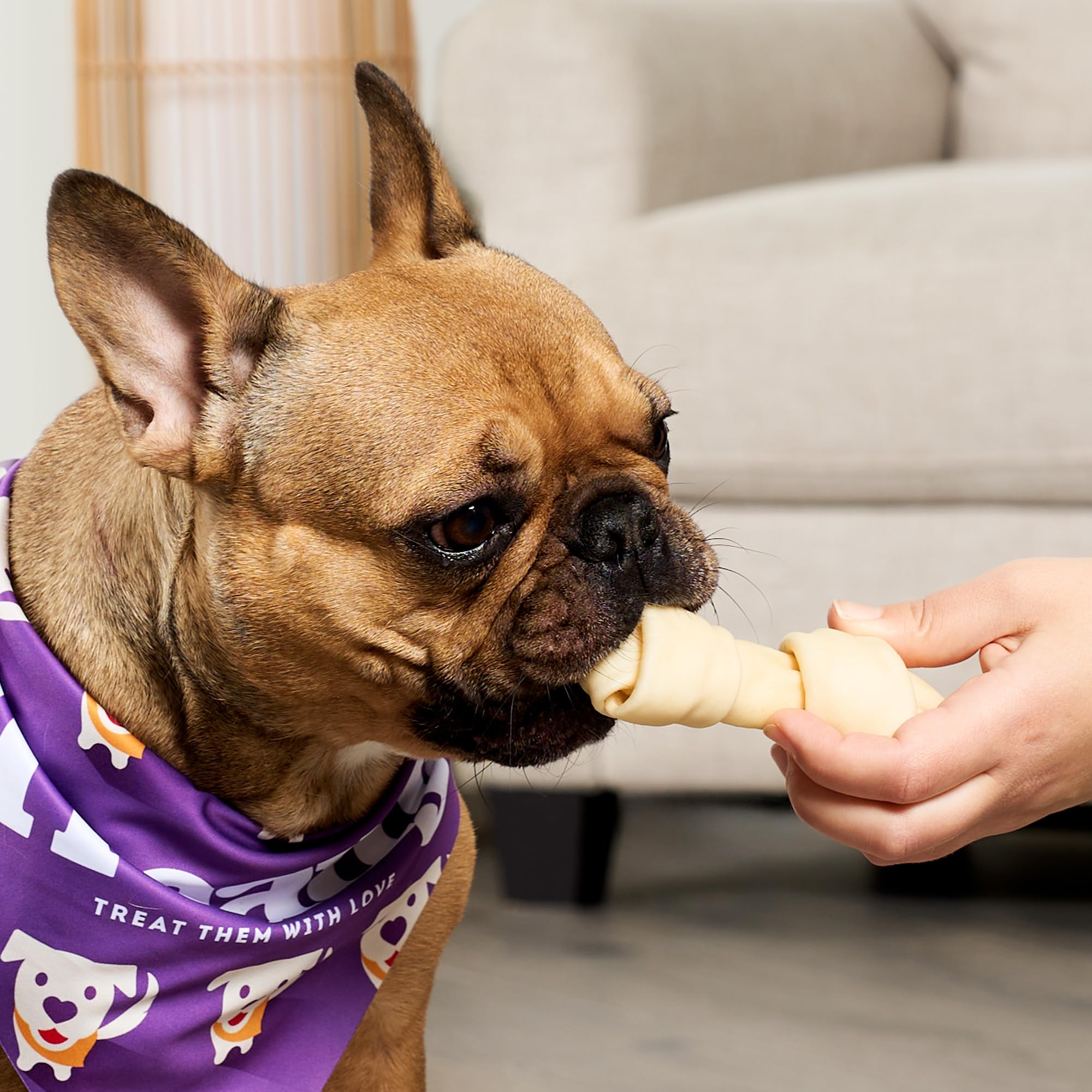 Treatly USA Beefhide Bones 5-6 Dog Chew Treats - Chicken Flavor, 7 Count/1 Pack