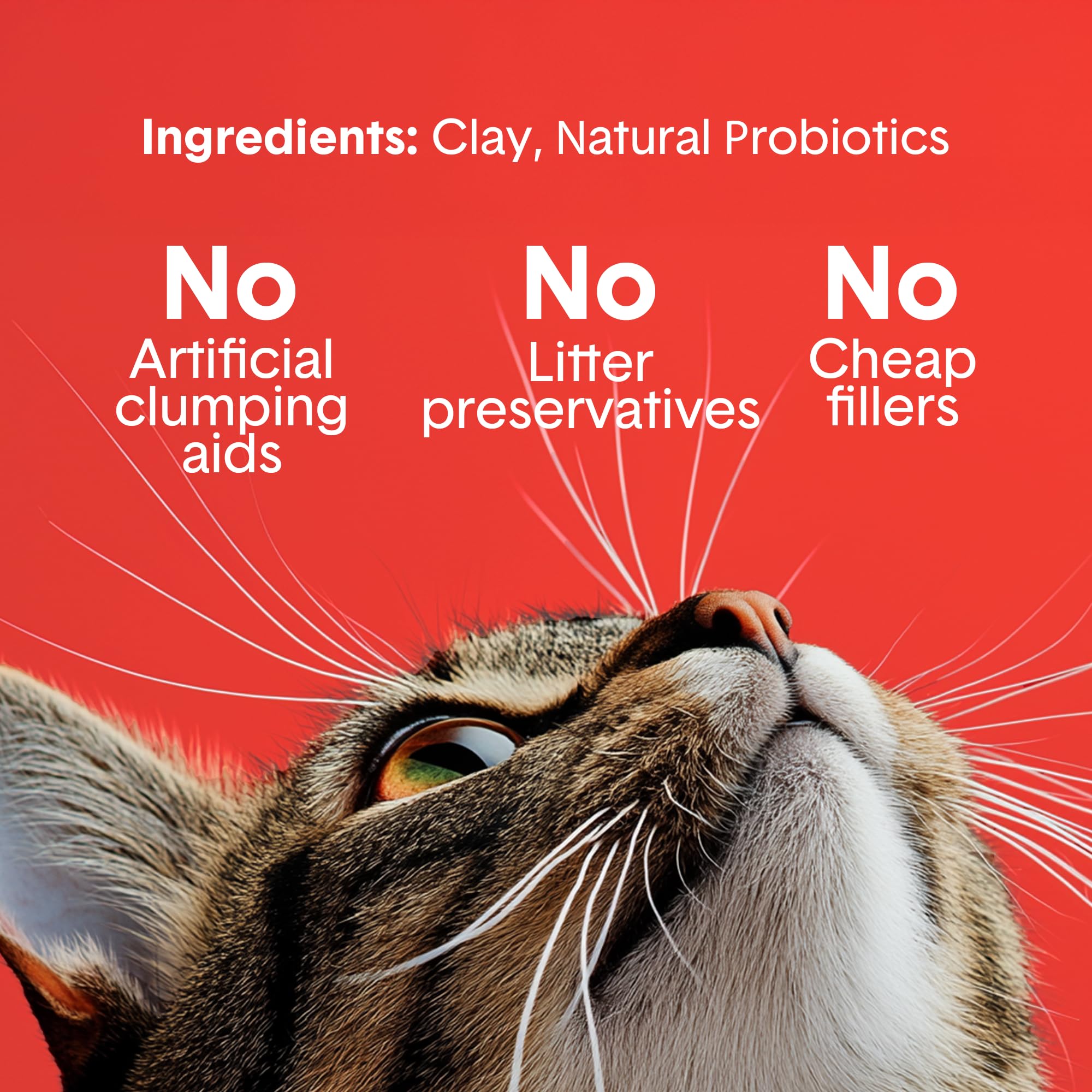 Boxie Extra Strength Cat Litter, 35-Day Odor Control, Clumping Clay, 40Lb