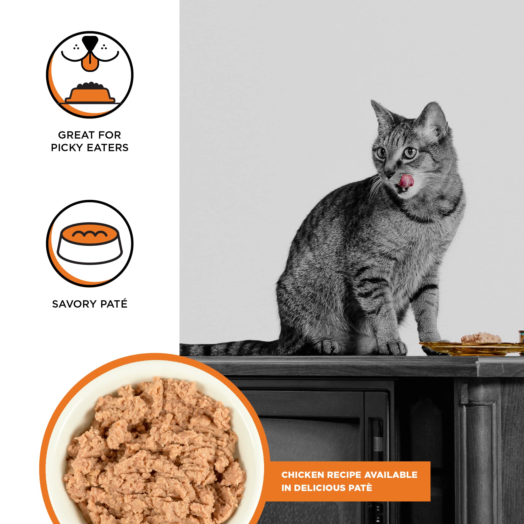 BIXBI Rawbble Chicken Pate Recipe Cans - Grain Free, Protein Rich Wet Cat Food - (2.75 Ounce Cans, Case of 24)
