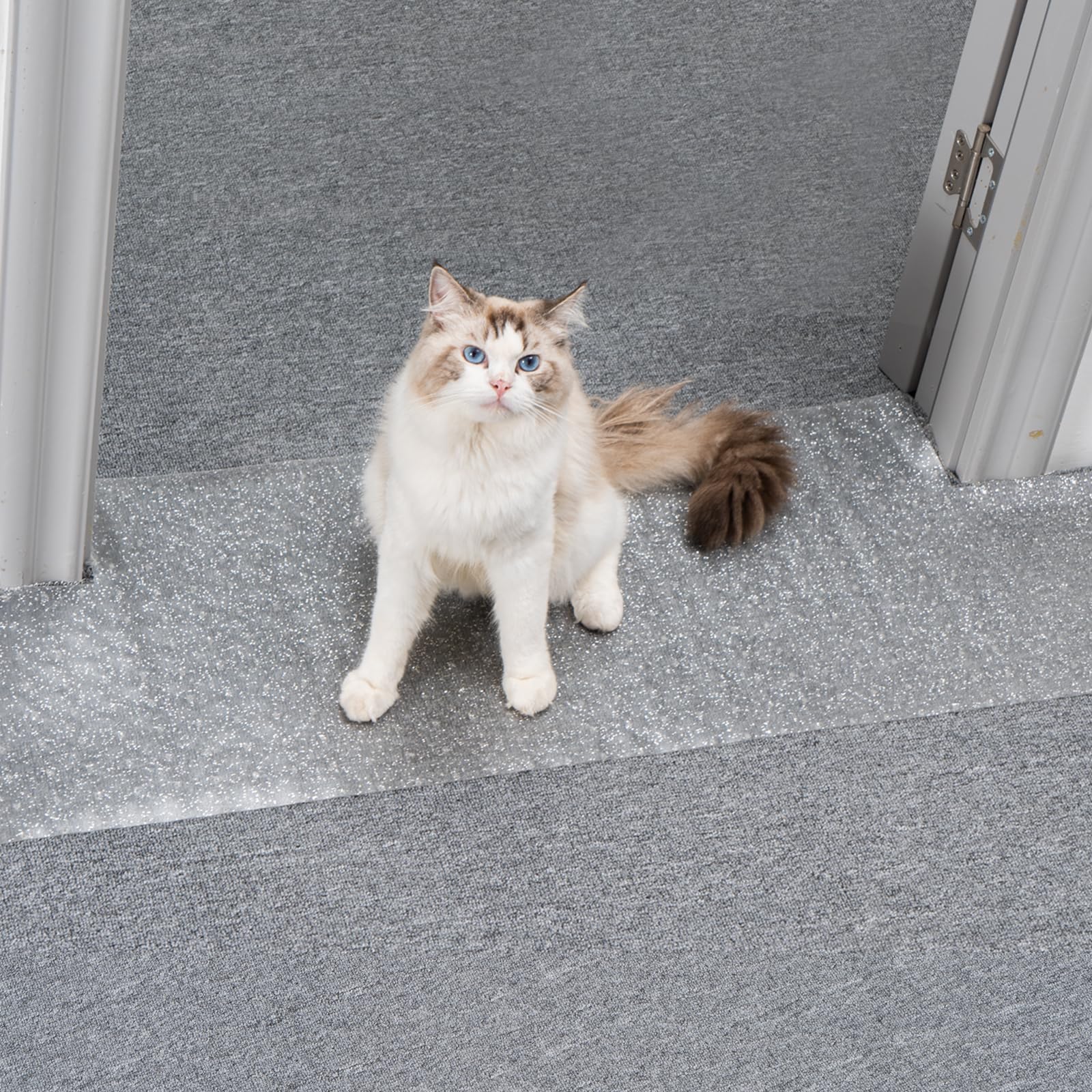 Uross Carpet Protector For Pets - Anti-Scratch Mat For Doorway, Easy To Cut Plastic Scratch Stopper, Cat Guard For Under Door, 3