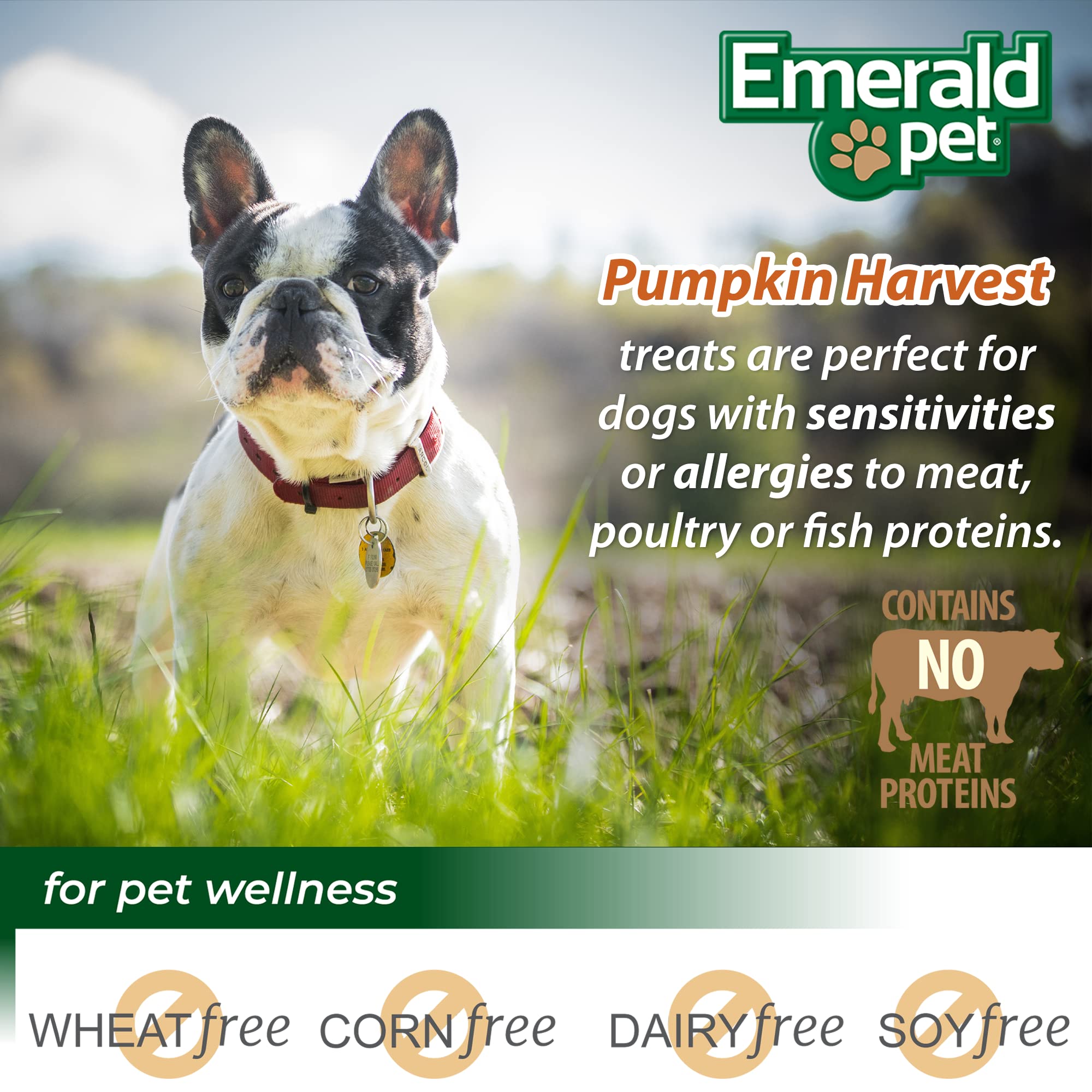 Emerald Pet Pumpkin Harvest Mini Trainers with Banana Chewy Dog Treats