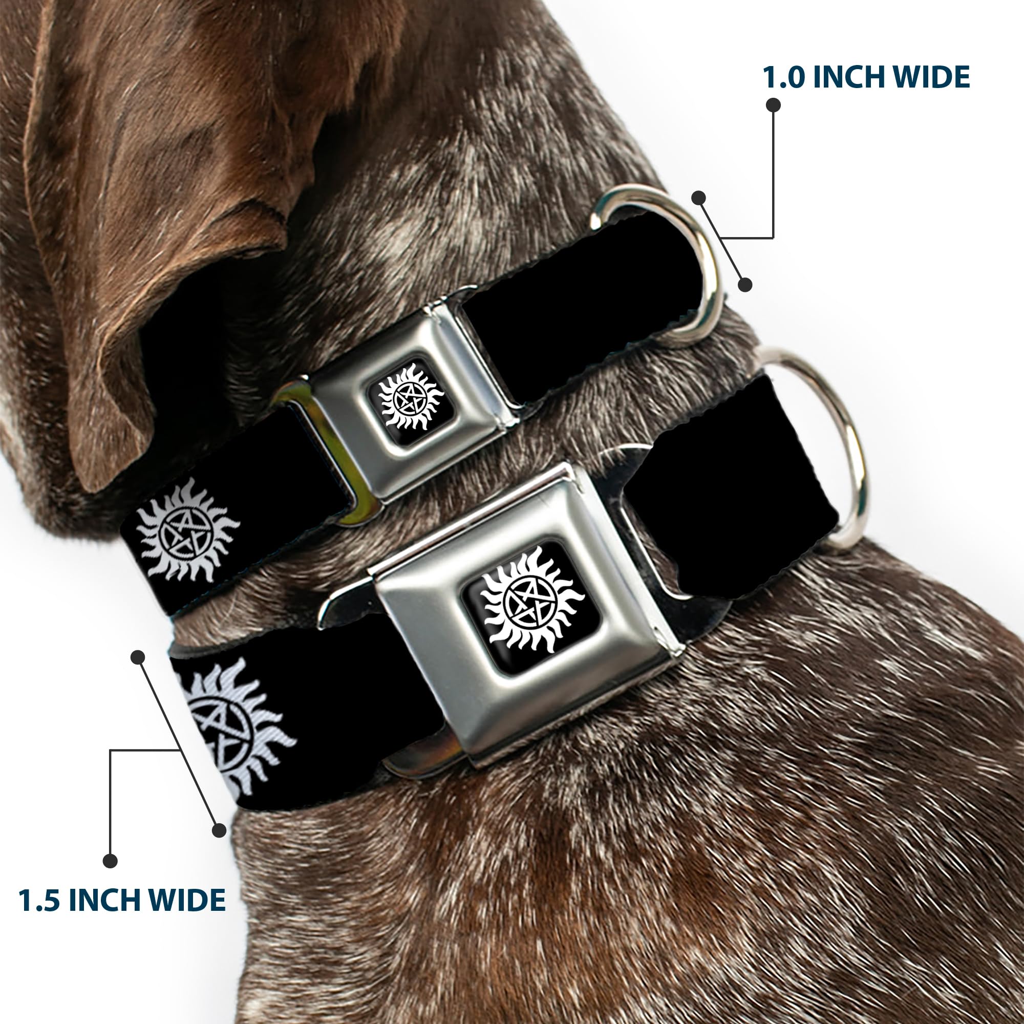 Buckle-Down Dog Collar Seatbelt Buckle Winchester Pentagram Repeat Black White 13 To 18 Inches 1.5 Inch Wide