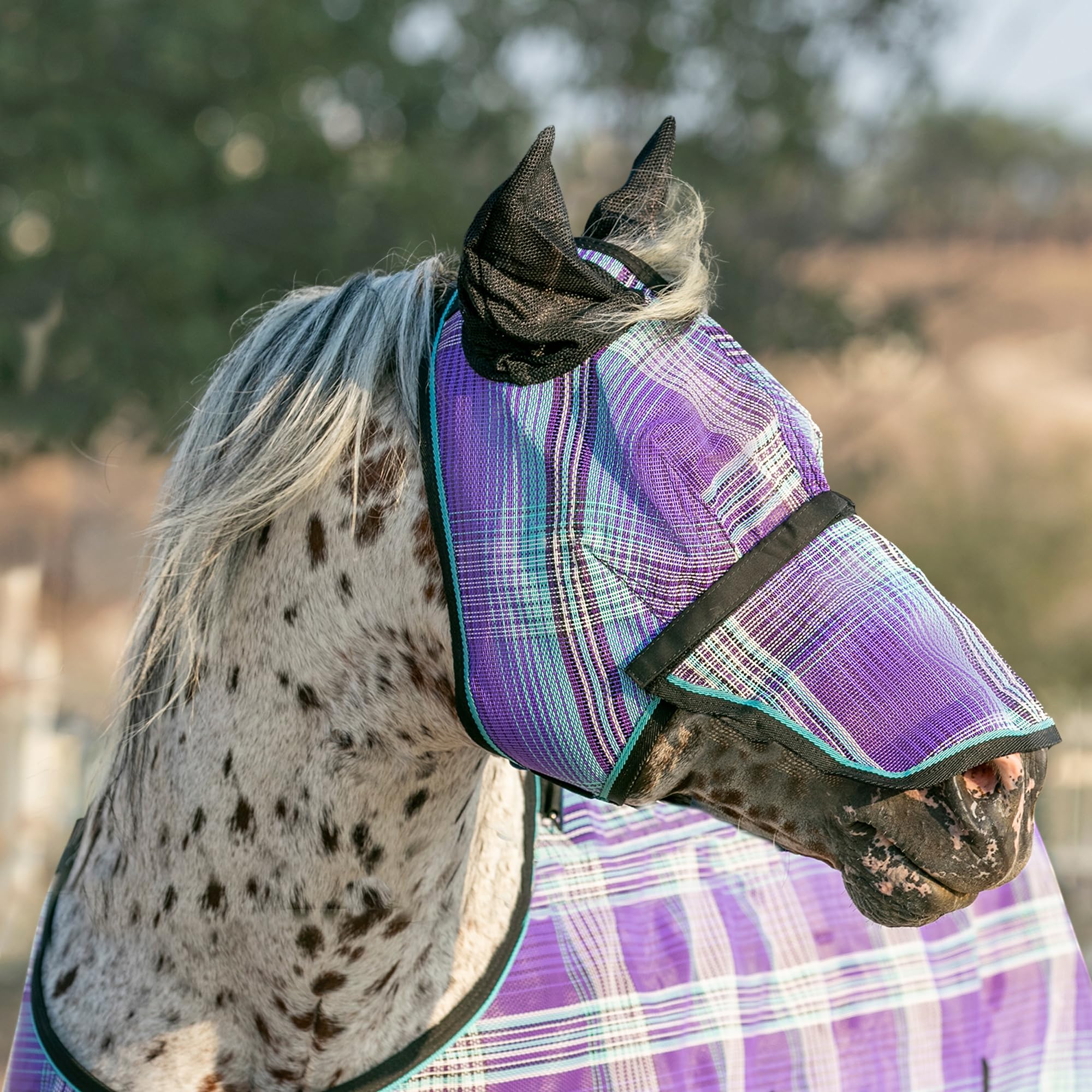 Kensington Signature Fly Mask w/Removable Nose, Soft Mesh Ears & Forelock Opening Size:M-Small Horse Color: 2017 - Lavender Mint