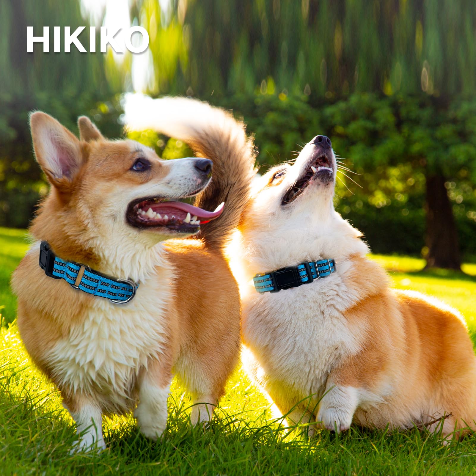 Hikiko Martingale Dog Collars Reflective Nylon Dog Collar With Quick Release Buckle Adjustable Training No Slip Dog Collar (Larg