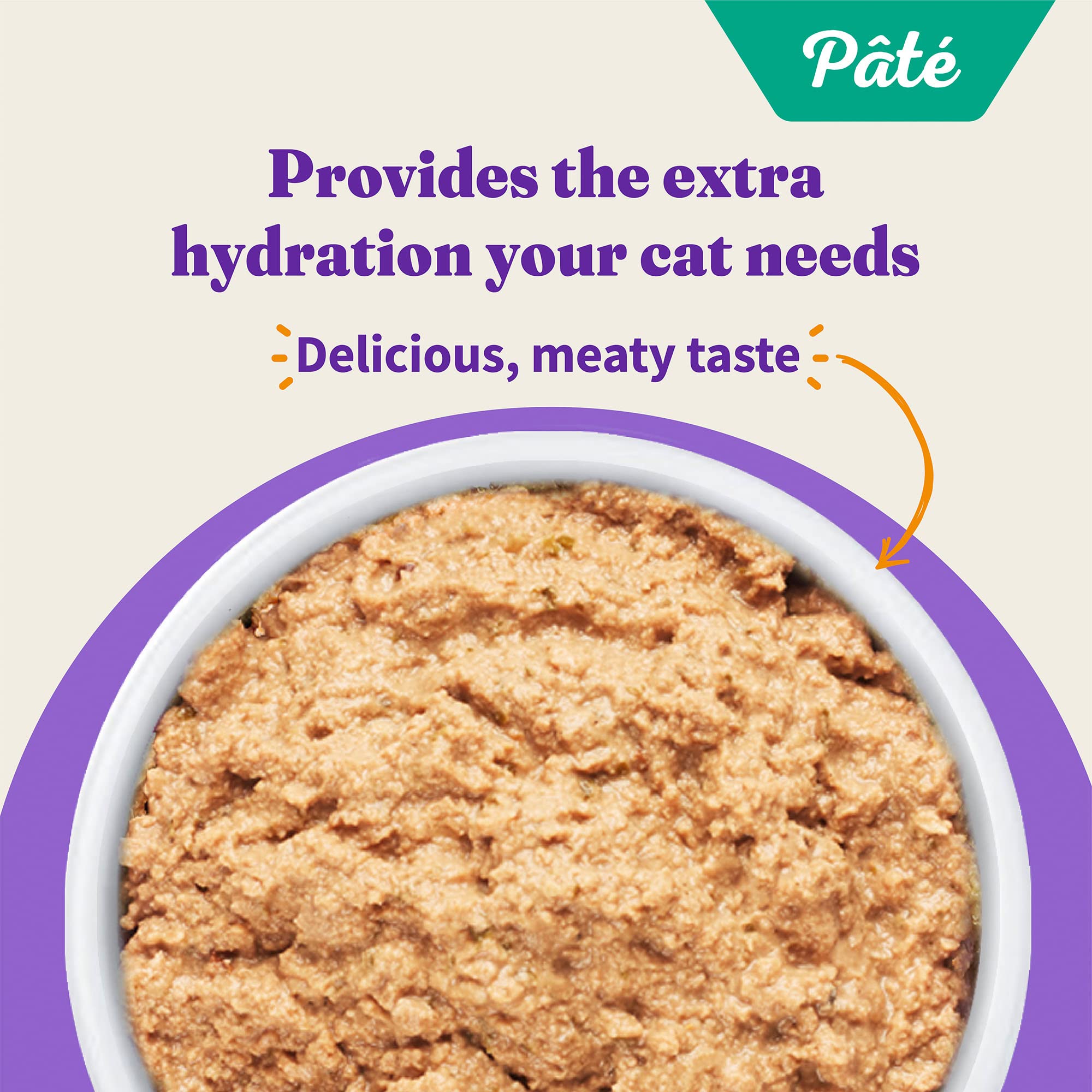 Halo Wet Cat Food Whole Chicken Recipe, Grain Free Pate, 5.5 Oz Can (Pack of 12)