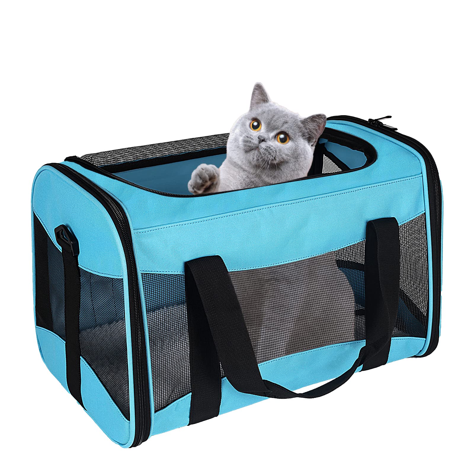 Cat Carrying Case - Pet Carrier Airline Approved, Protable And Breathable Pet Travel Carrier Removable Fleece Pad, Collapsible Cat Carrier Dog Carrier For Medium Cats Small Cats Dogs(Medium, Blue)
