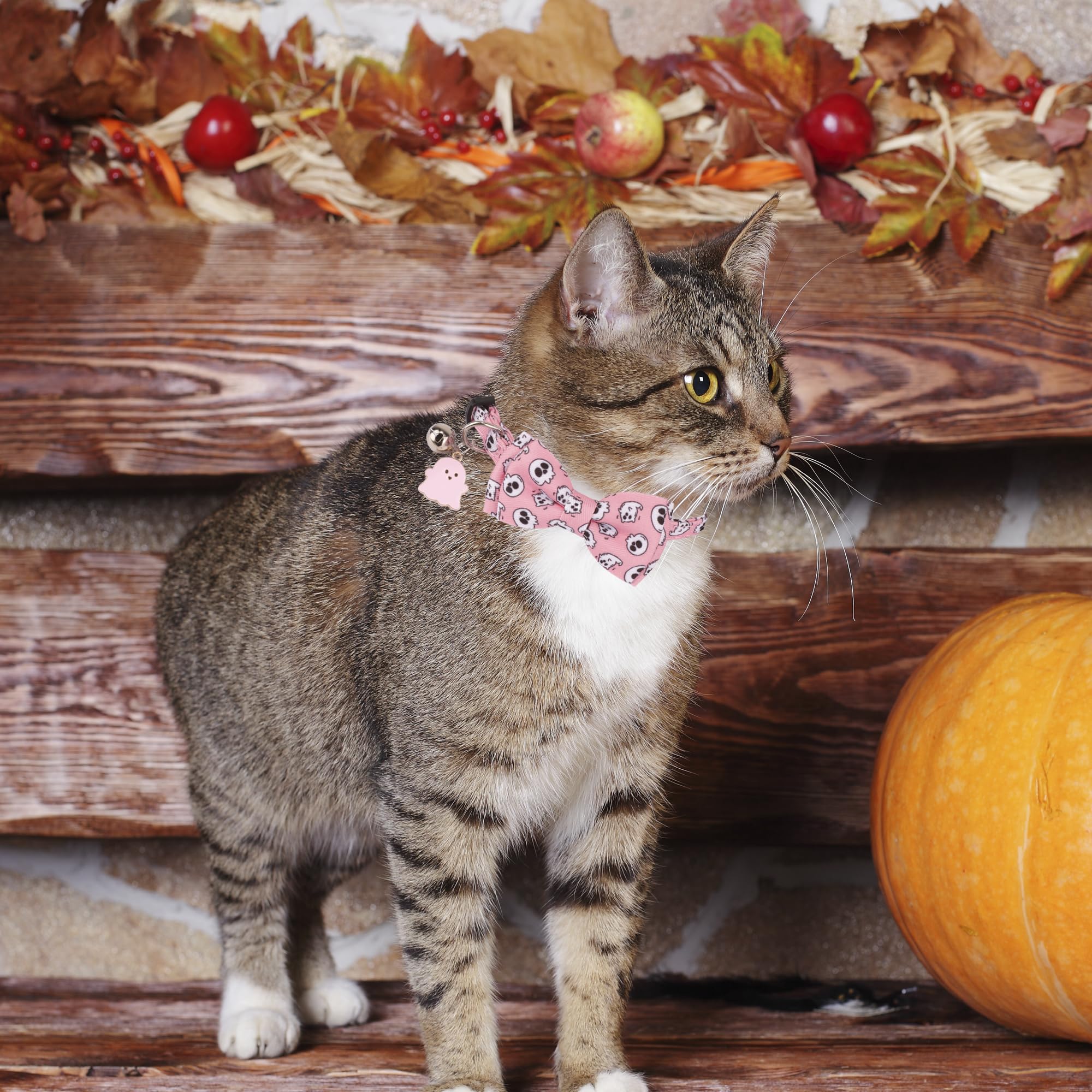 Adoggygo Pink Halloween Cat Collar With Bowtie Bell, 2 Pack Halloween Kitten Collar With Removable Bow, Pink Skull Ghost Collars