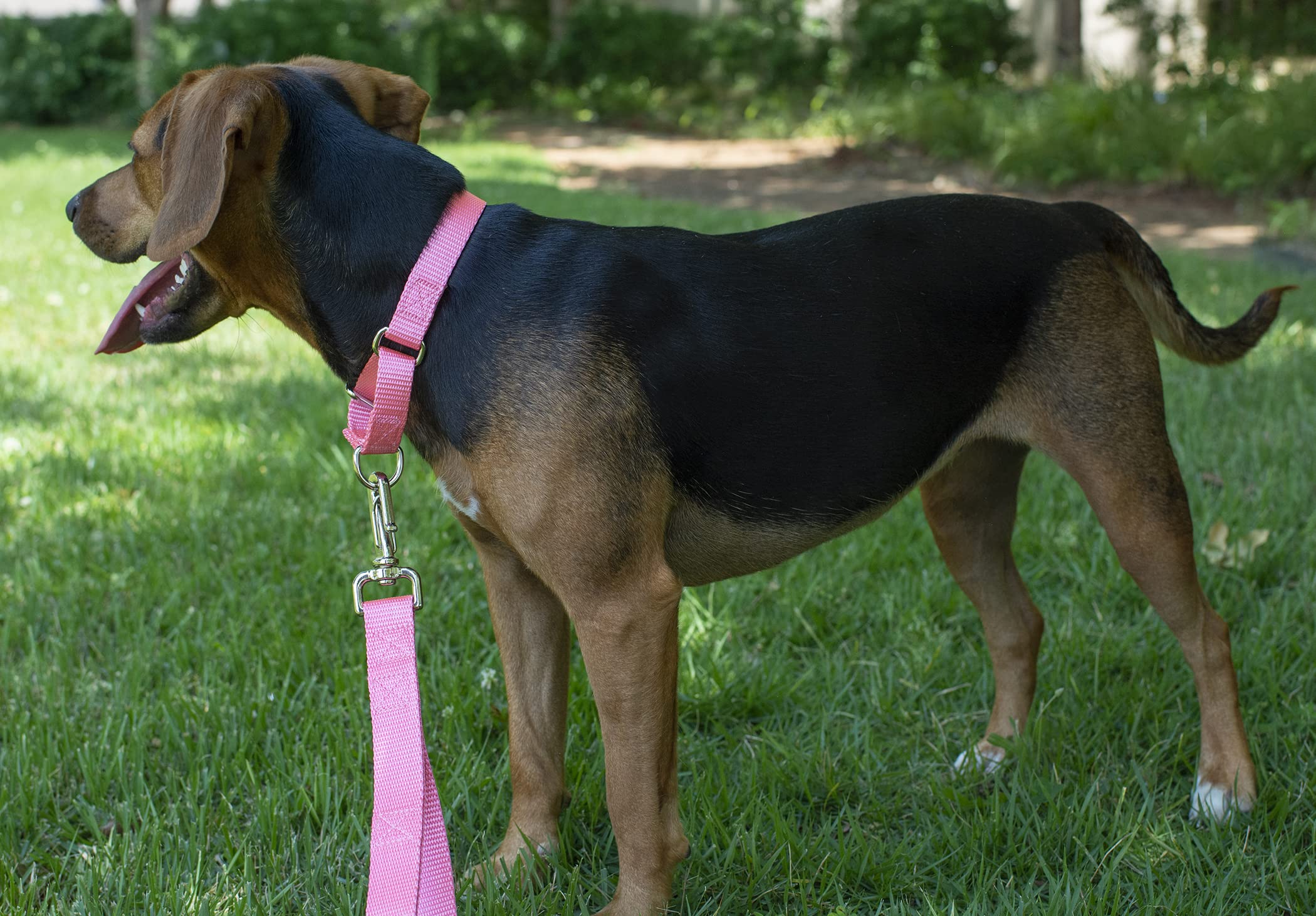 Country Brook Petz - Pink Martingale Heavy Duty Nylon Dog Collar - 21 Vibrant Color Options (3/8 Inch Width, Mini)