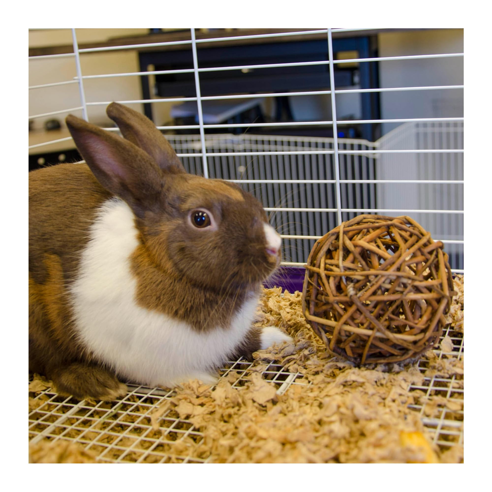 Ware Manufacturing Willow Branch Ball For Small Animals - 4-Inch